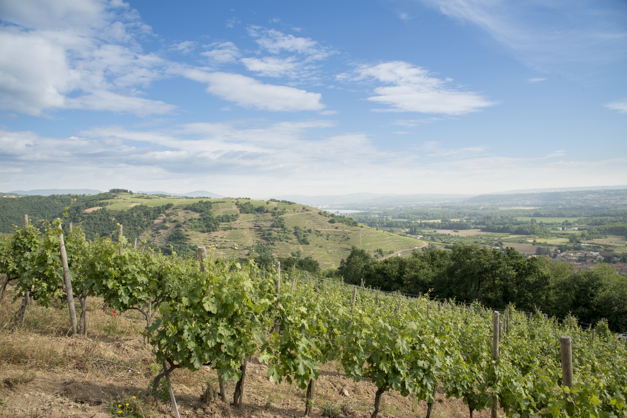 Vue sur les hauteurs de Limony