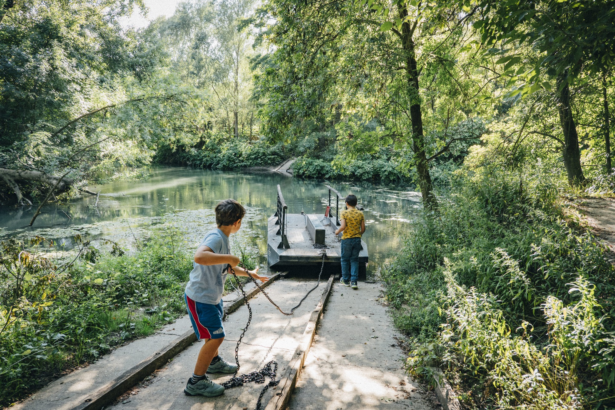 Réserve naturelle de l'Ile de la Platière_Le Péage-de-Roussillon