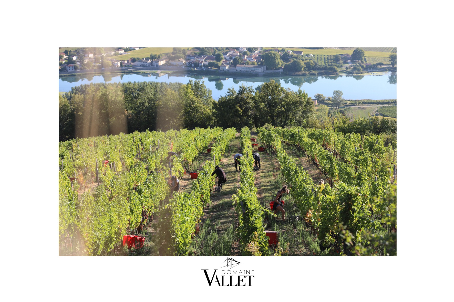 lieu- dit CHARAMELIN