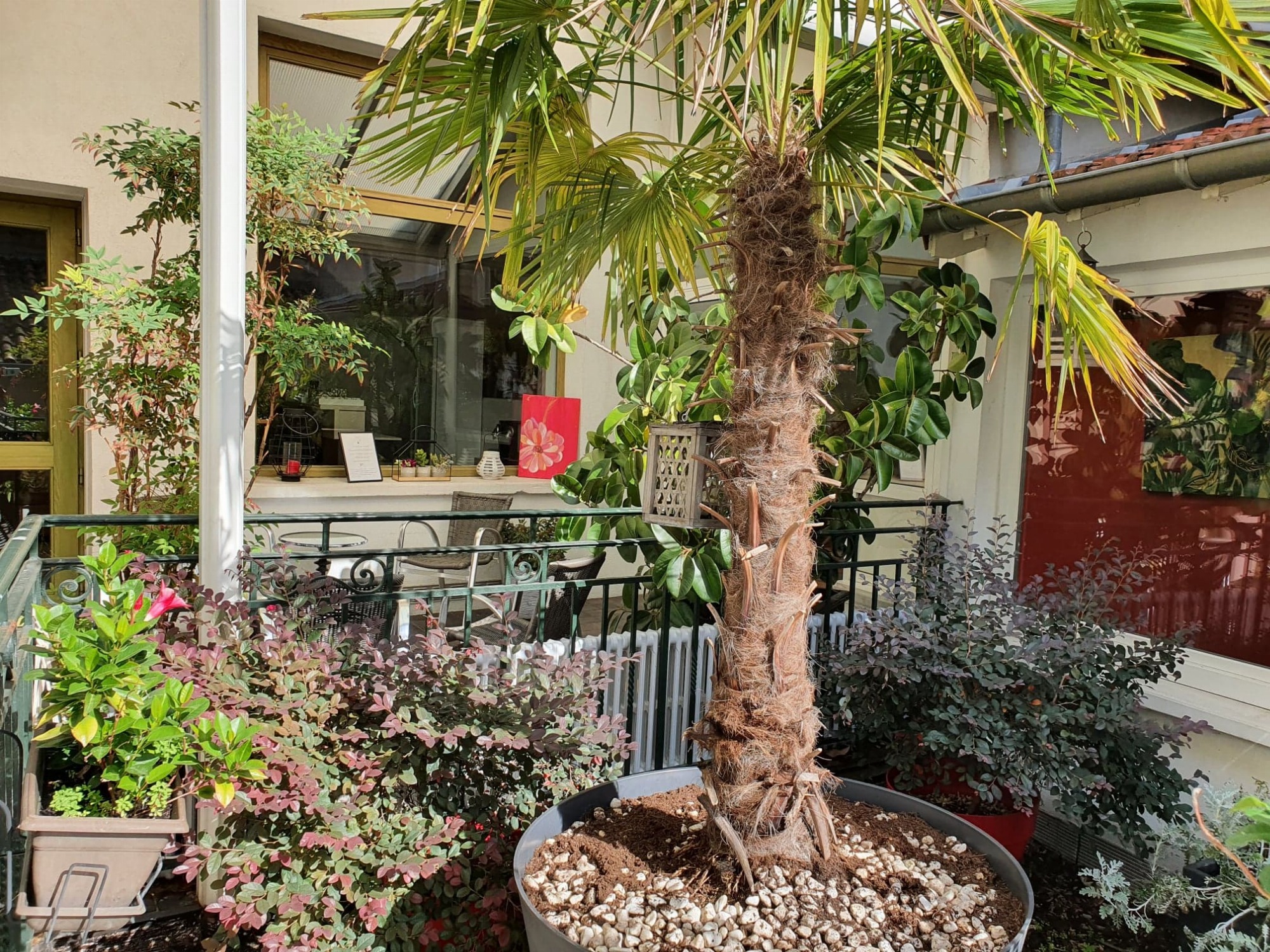 patio