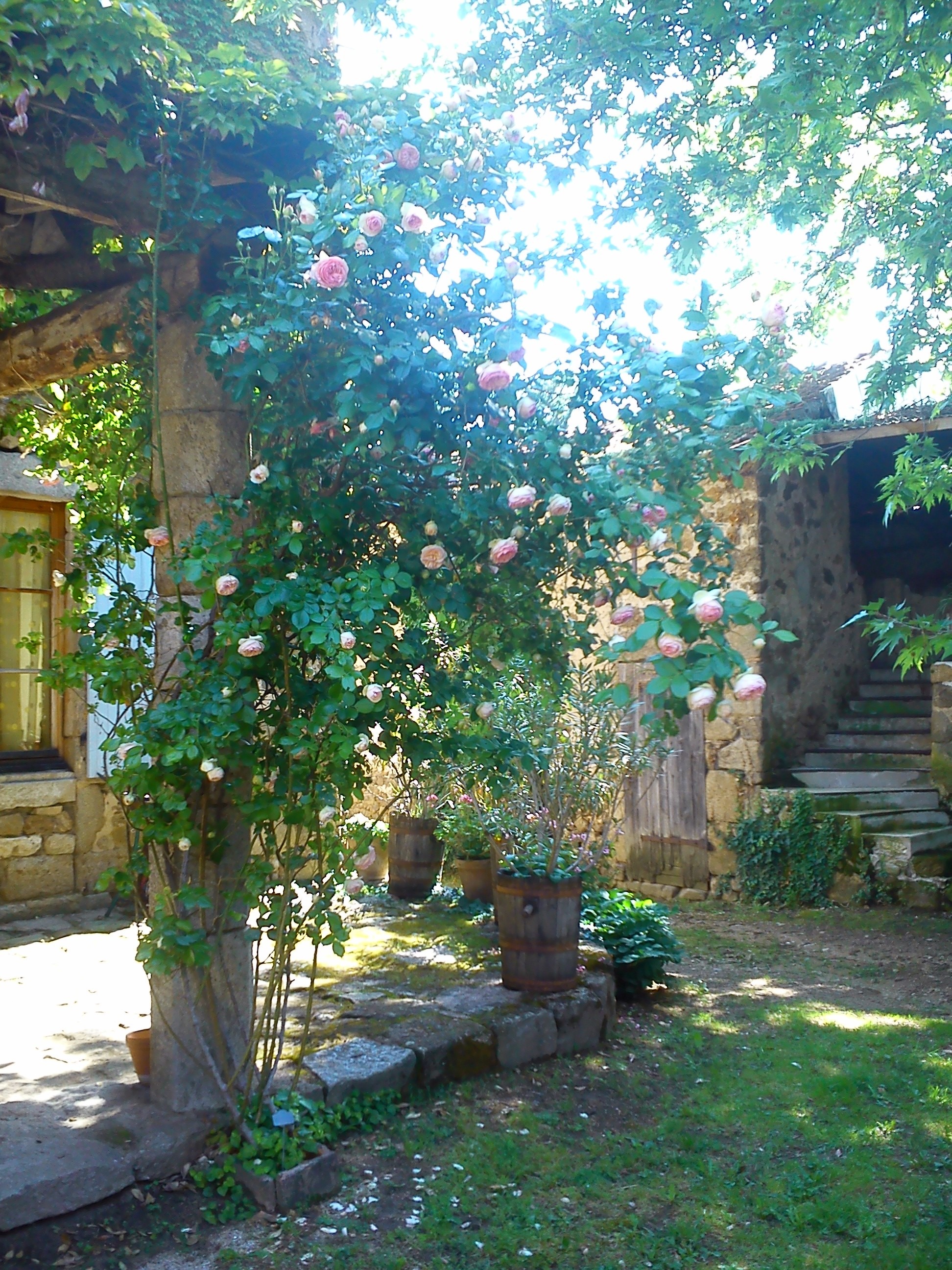 La terrasse couverte