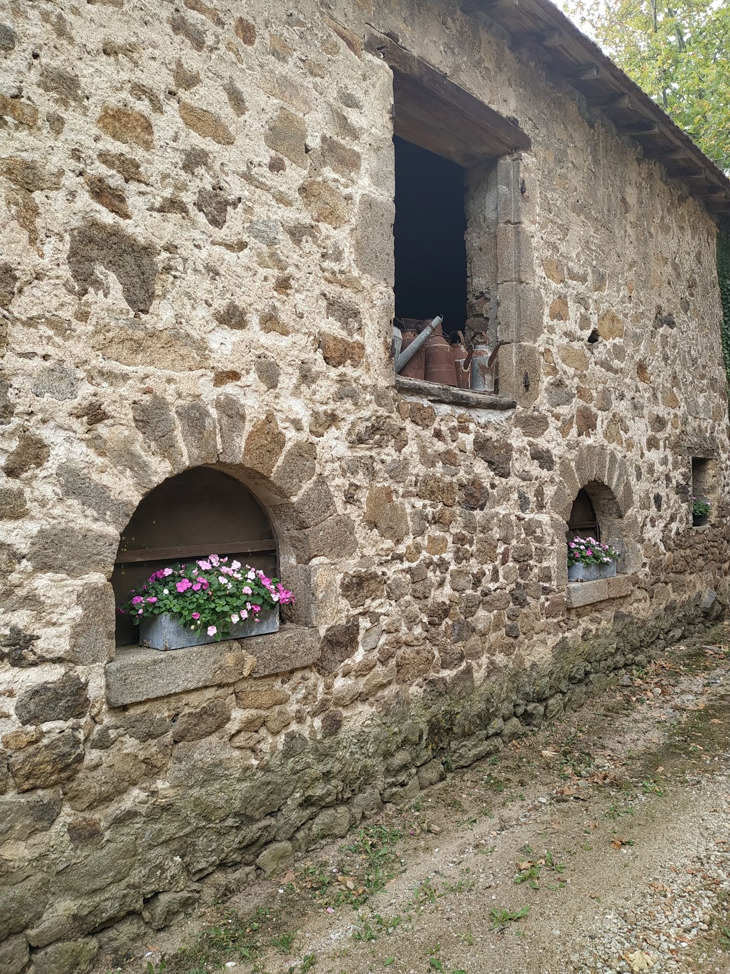 Chemin accés voiture