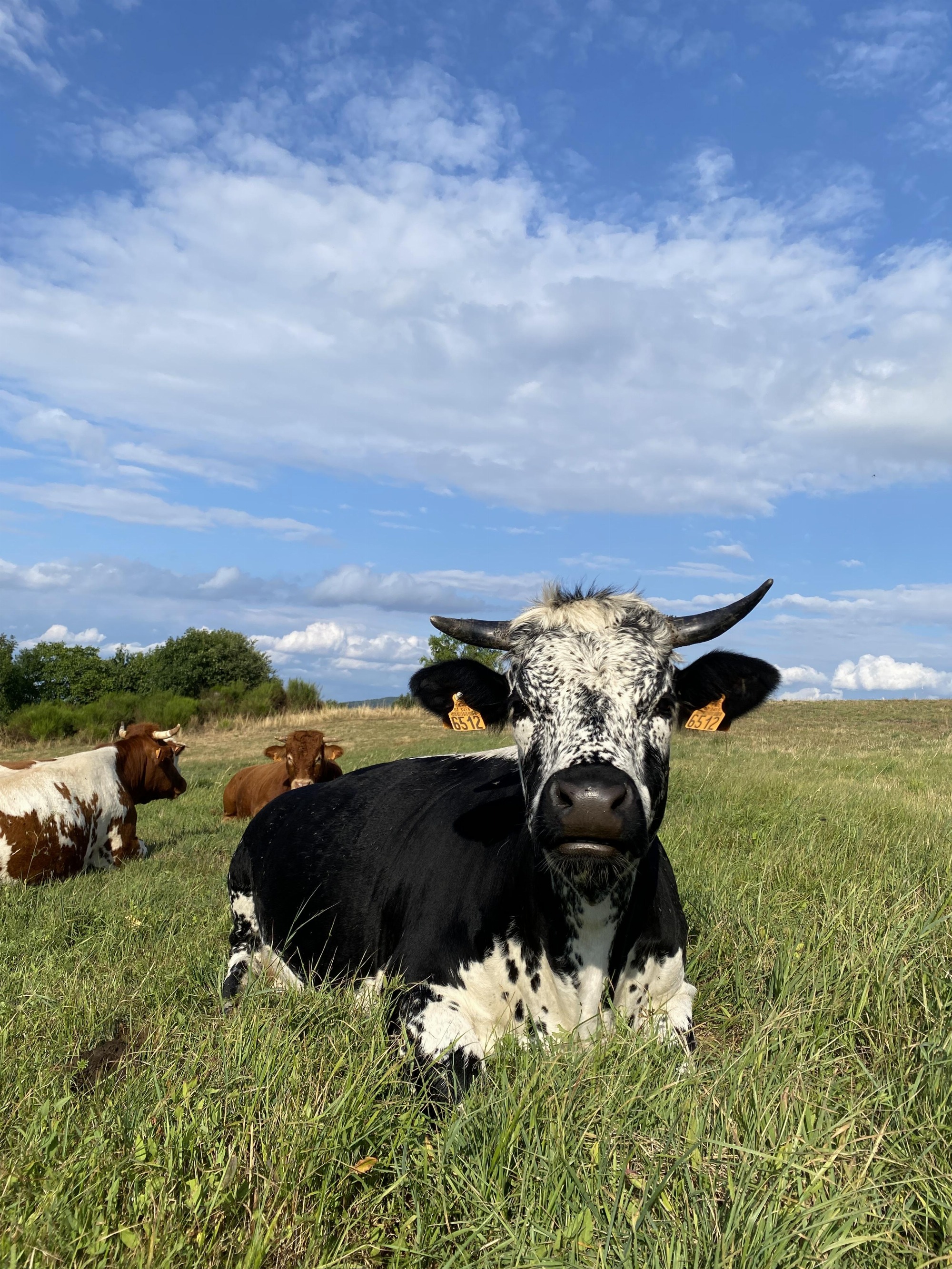 La Ferme de l'Amélie_Préaux