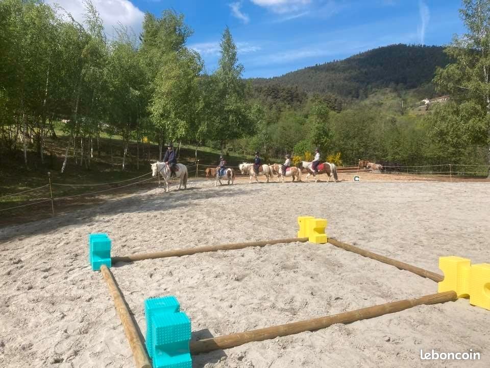 la maison des poneys