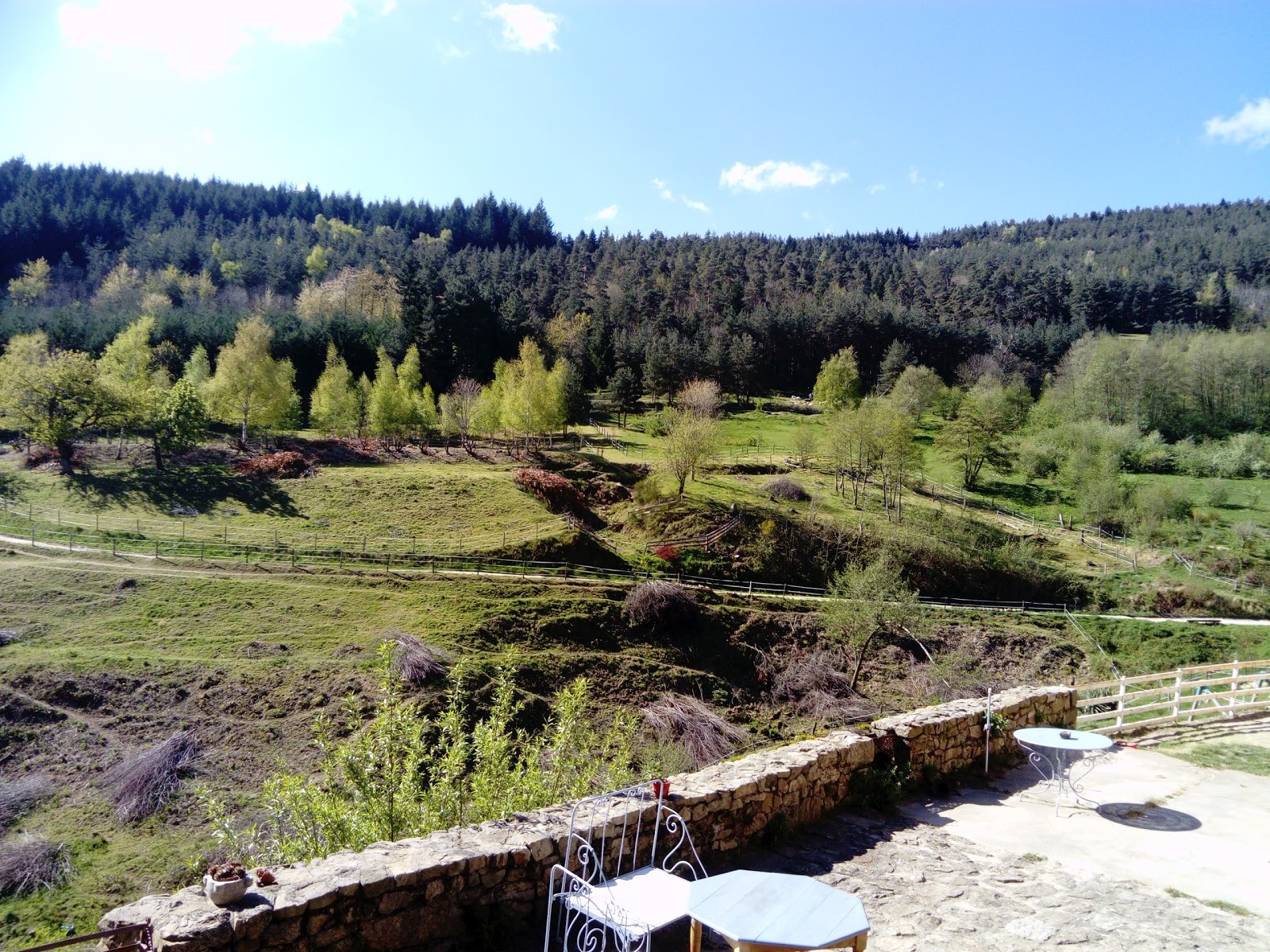 la maison des poneys