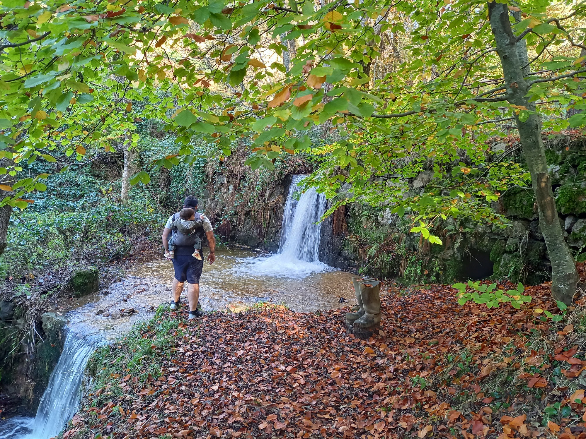 Collier de signalétique