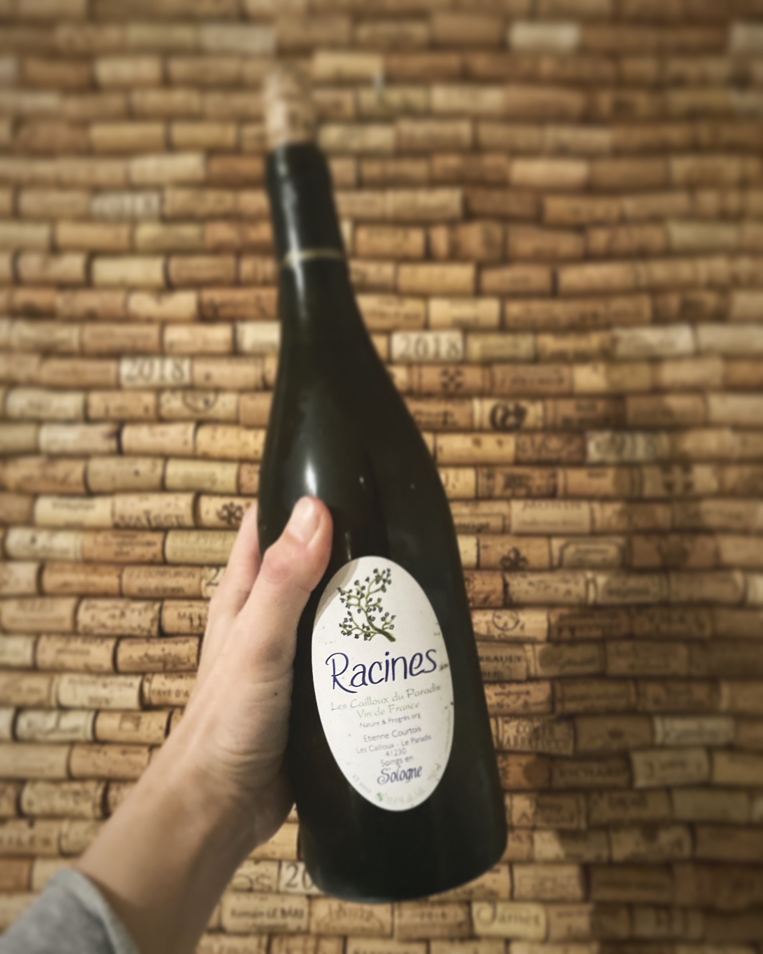 Racines Claude Courtois