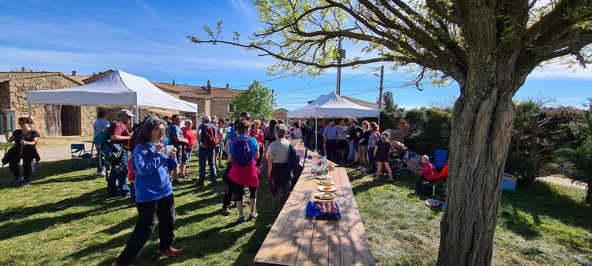 Randonée pédestre et VTT la Coq’in