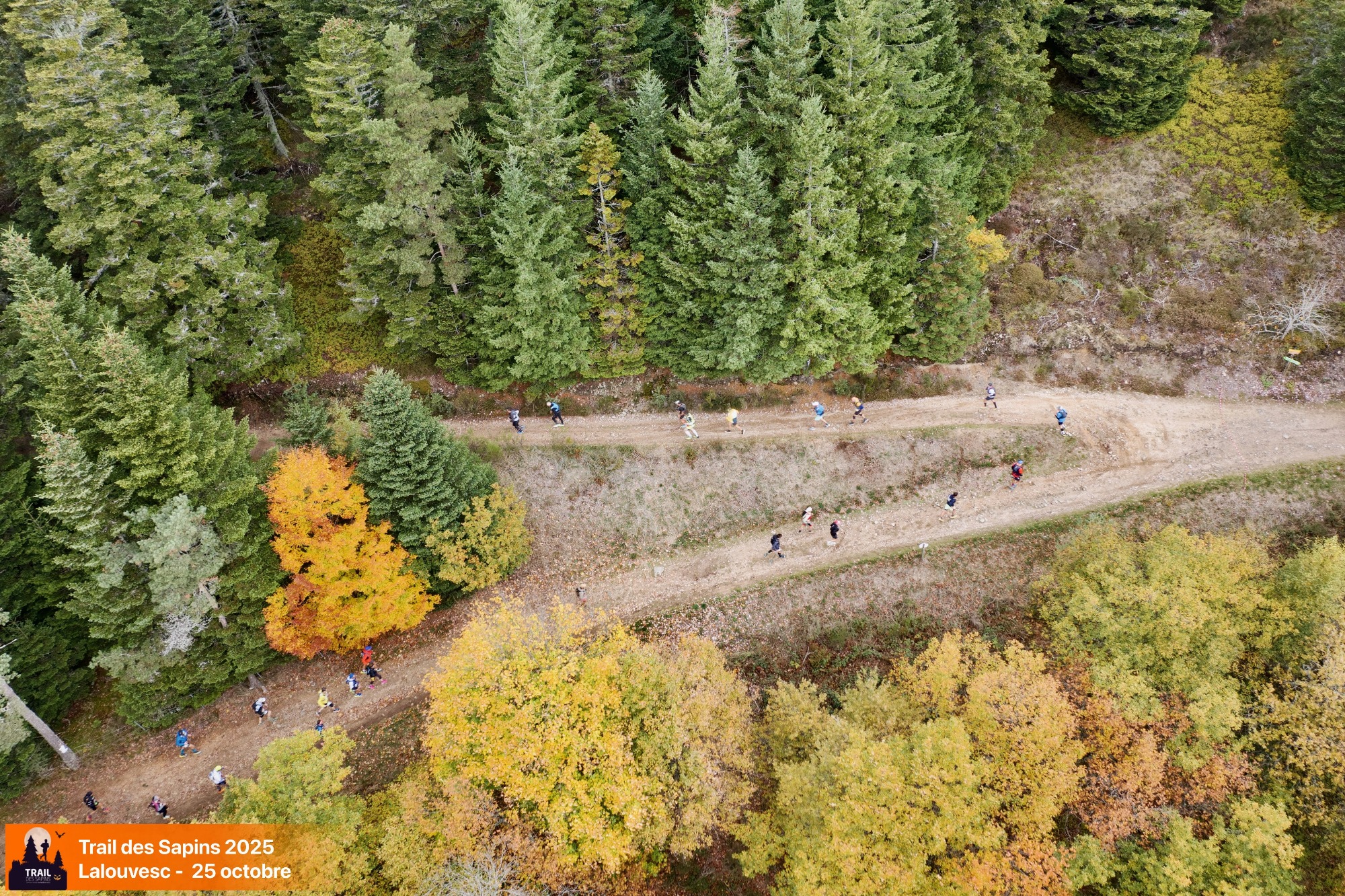 Trail des sapins semi-nocturne_Lalouvesc