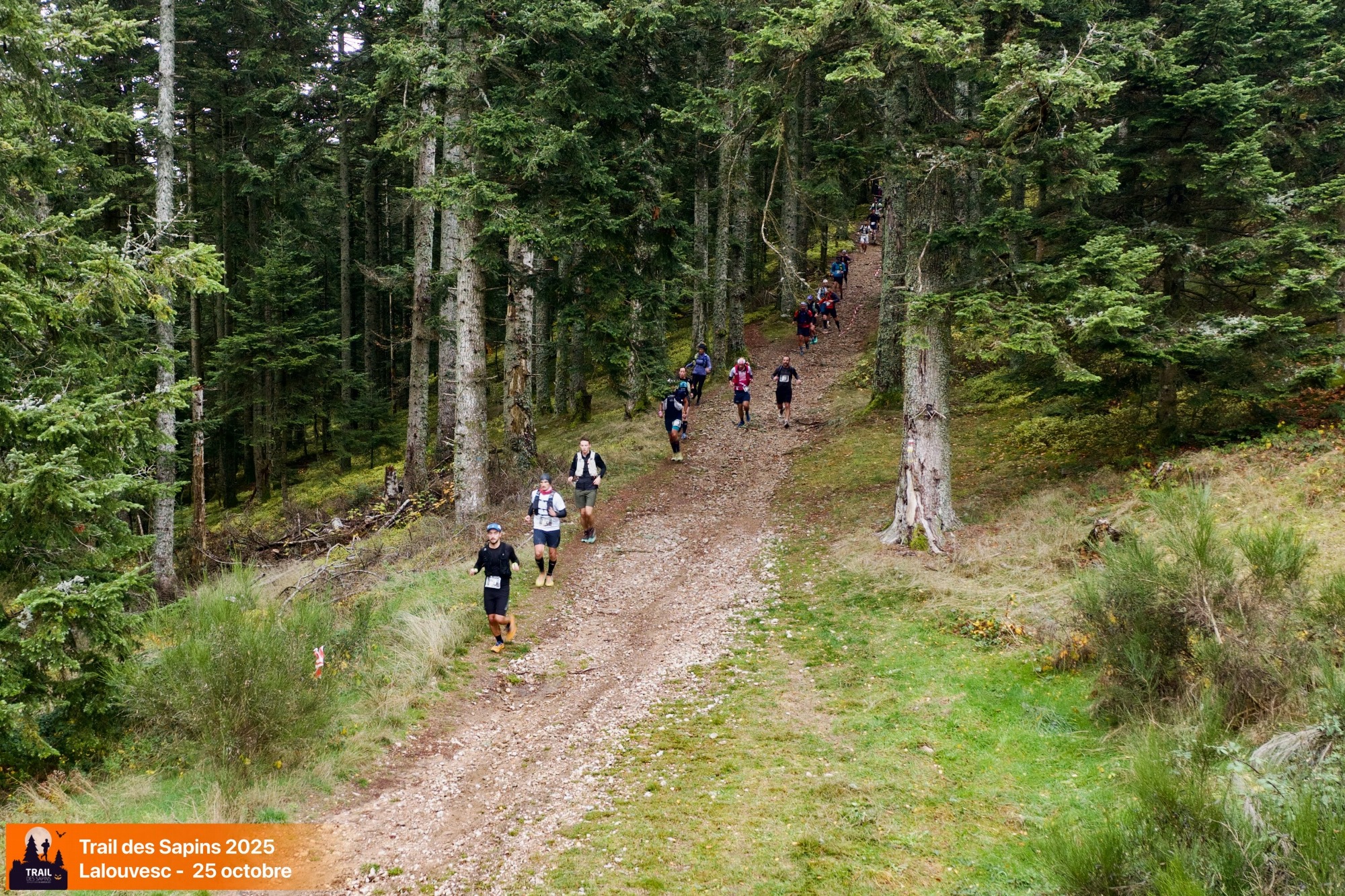 Trail des sapins semi-nocturne_Lalouvesc