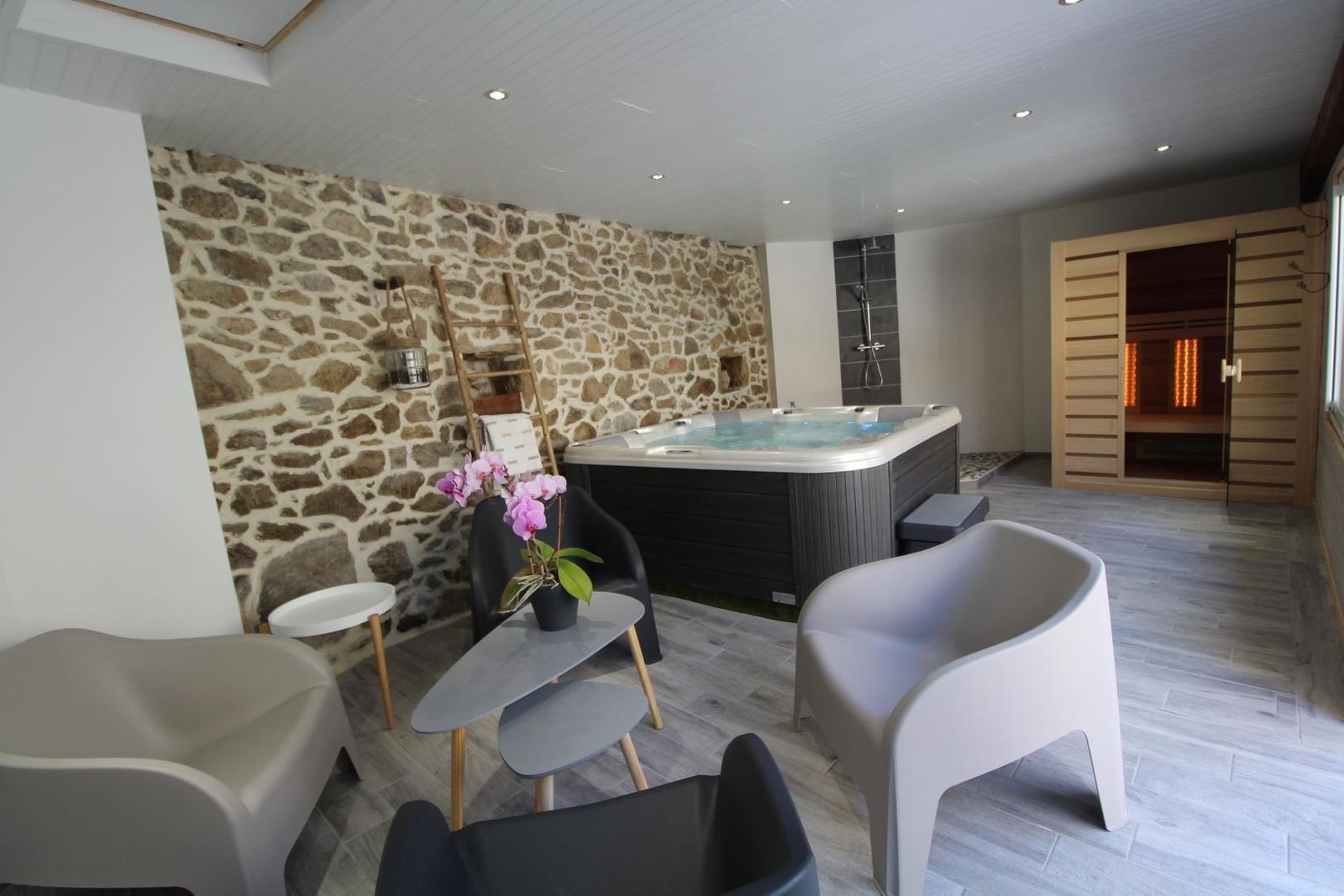 Espace salon d'intérieur, SPA et sauna privatifs