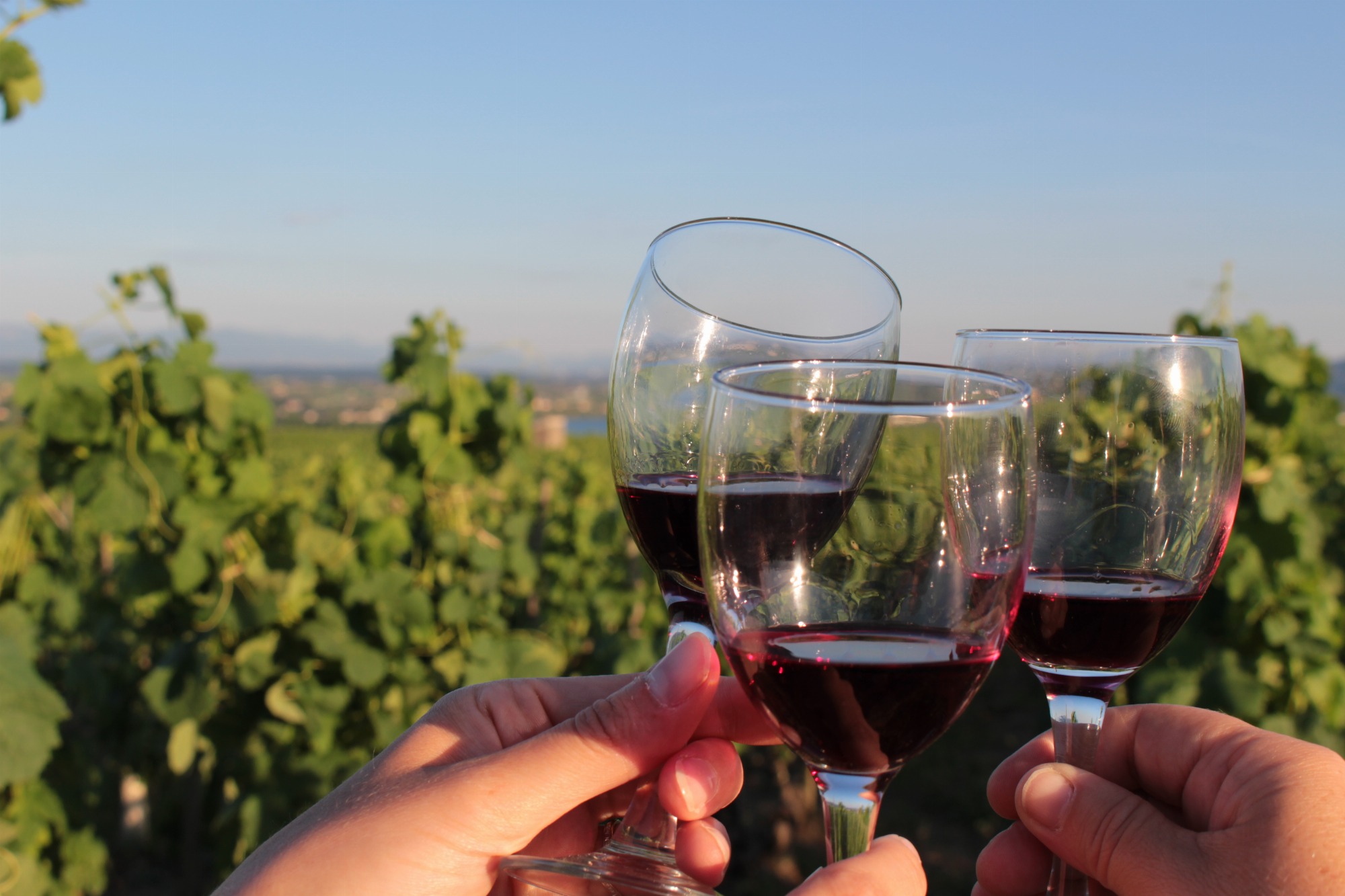 A bon train bon vins !