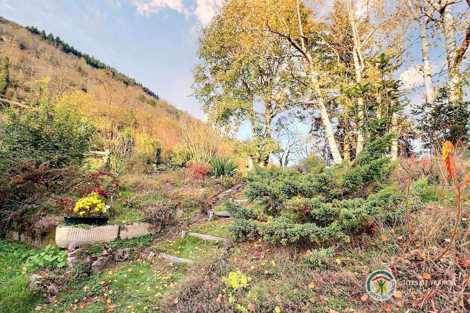 Jardin à l'automne 