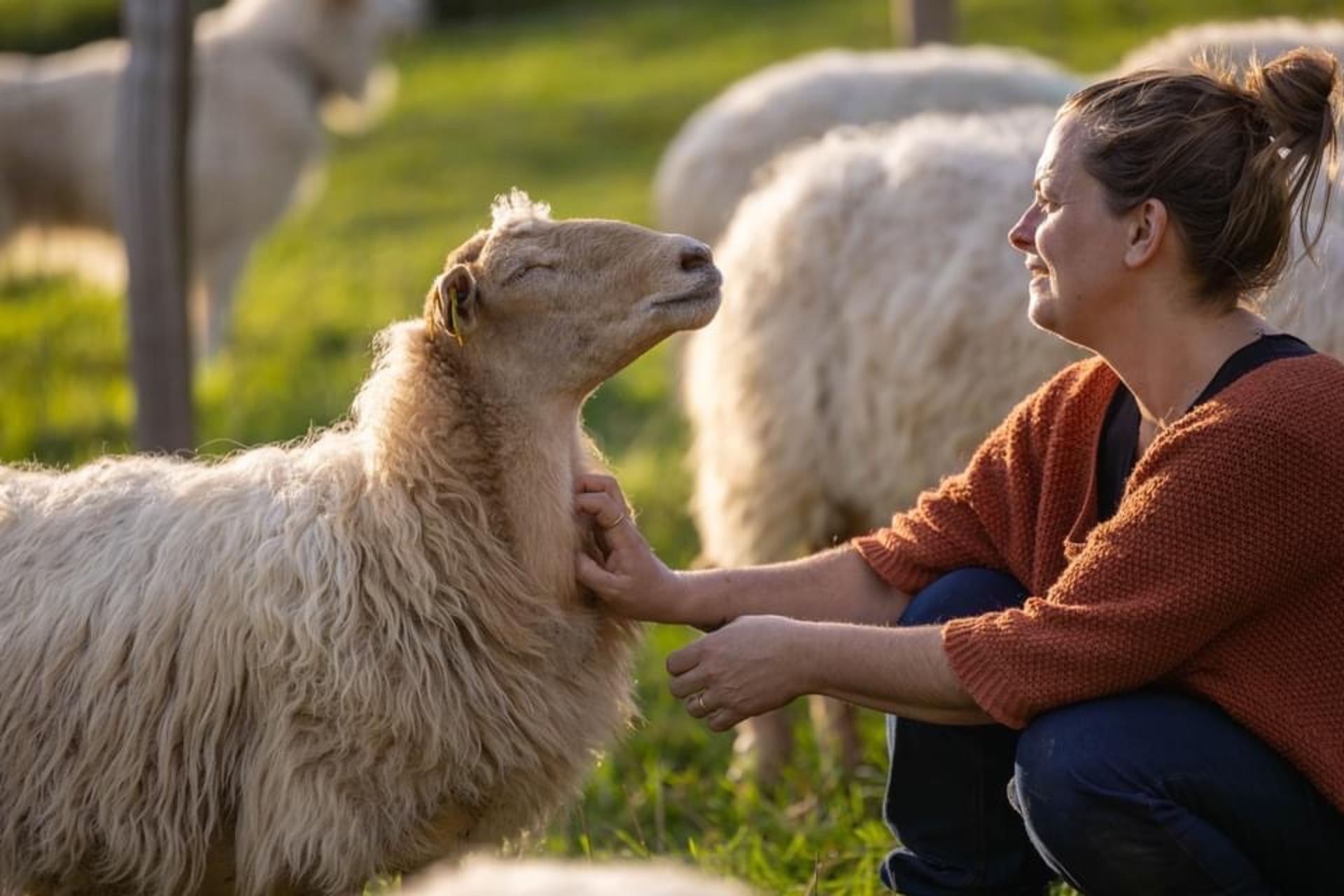 Ferme La Brebis Heureuse_Saint-Pierre-sur-Doux