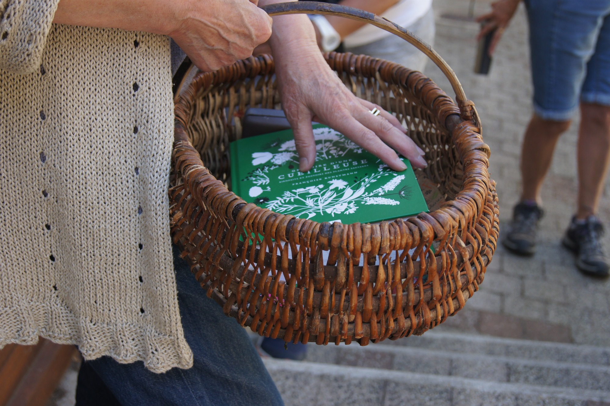 balades plantes comestibles