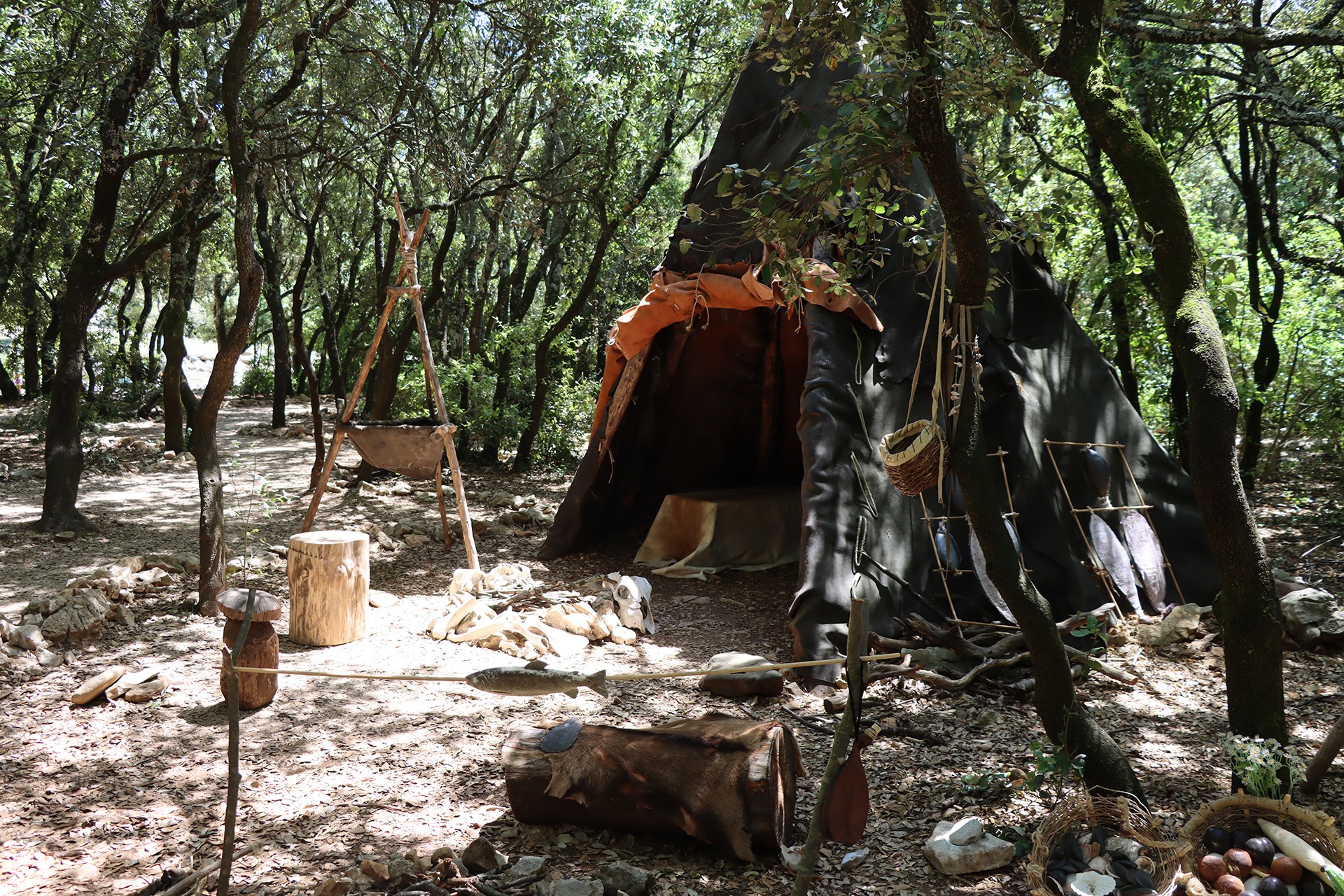 Espace d'animations - Campement Paléolithique reconstitué