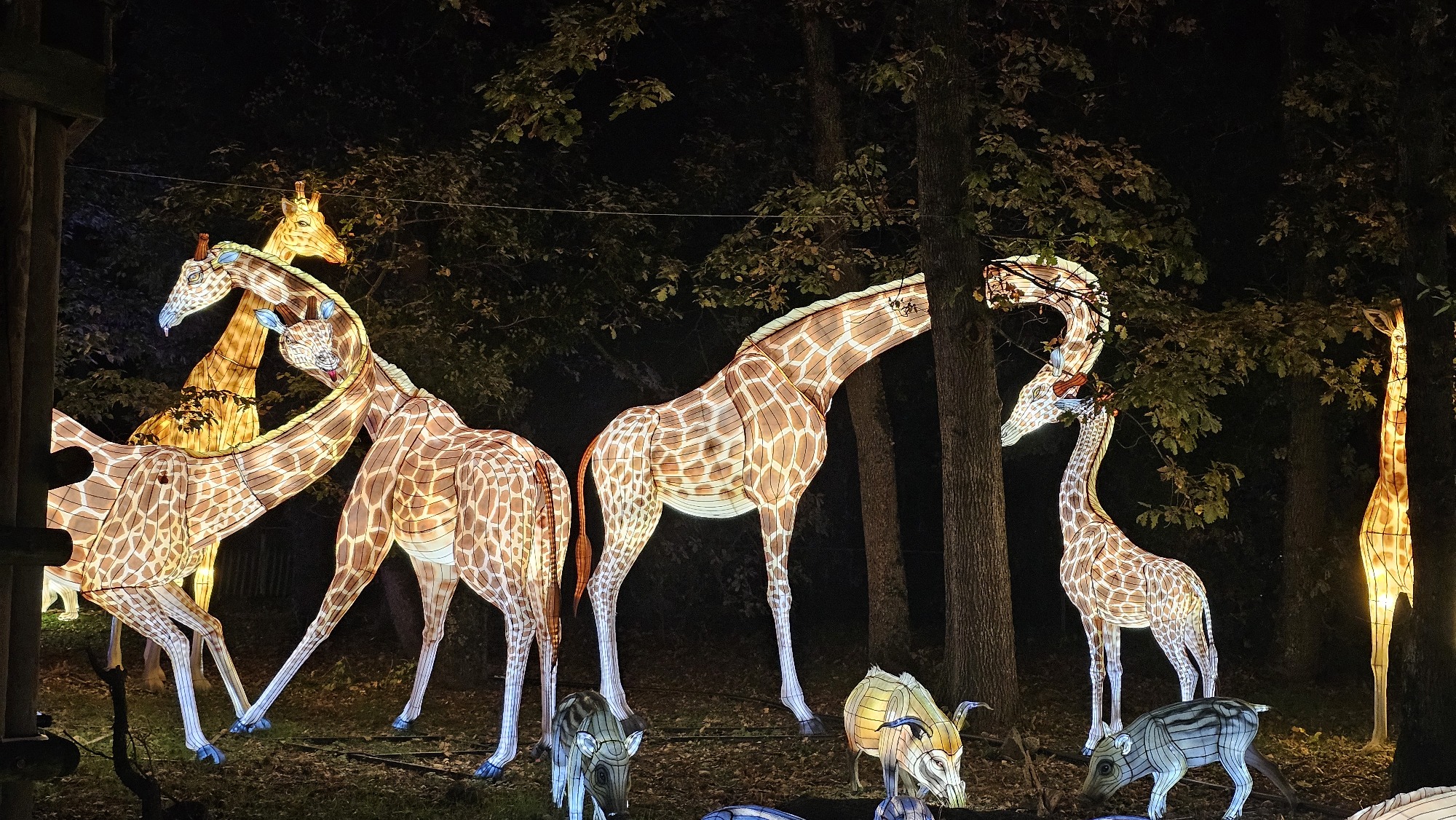 5ème Festival Lumières Sauvages_Peaugres