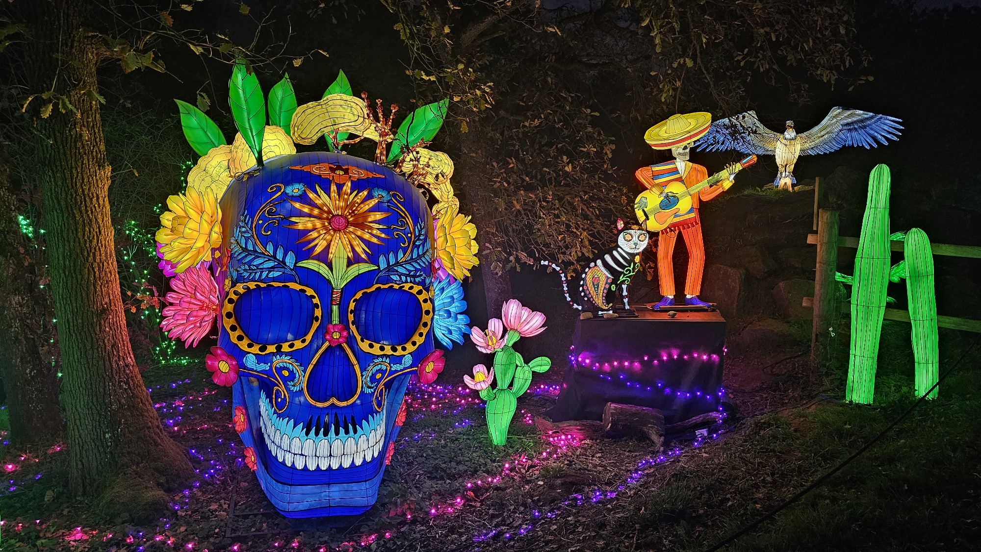 5ème Festival Lumières Sauvages_Peaugres