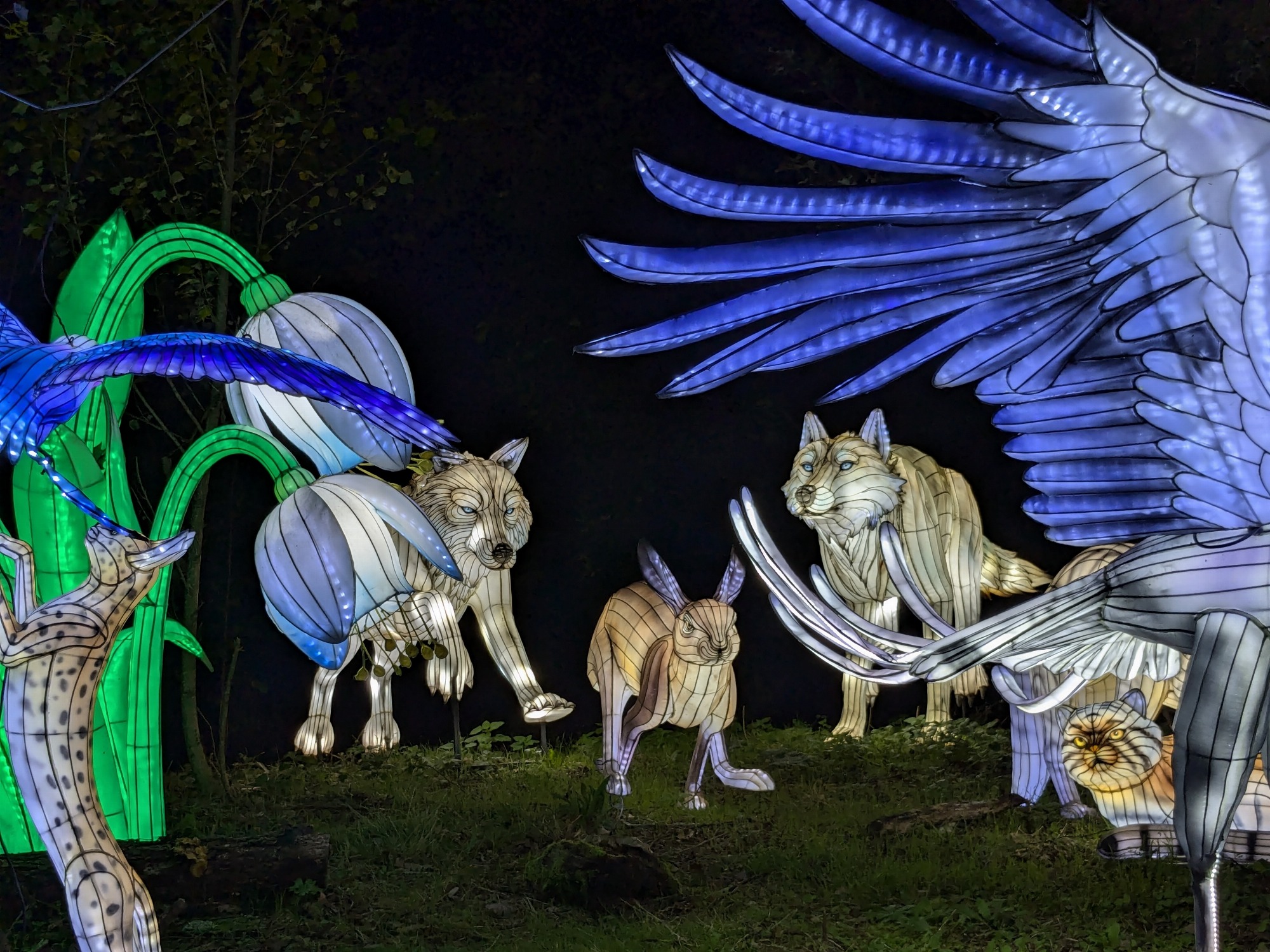 4ème Festival Lumières Sauvages_Peaugres