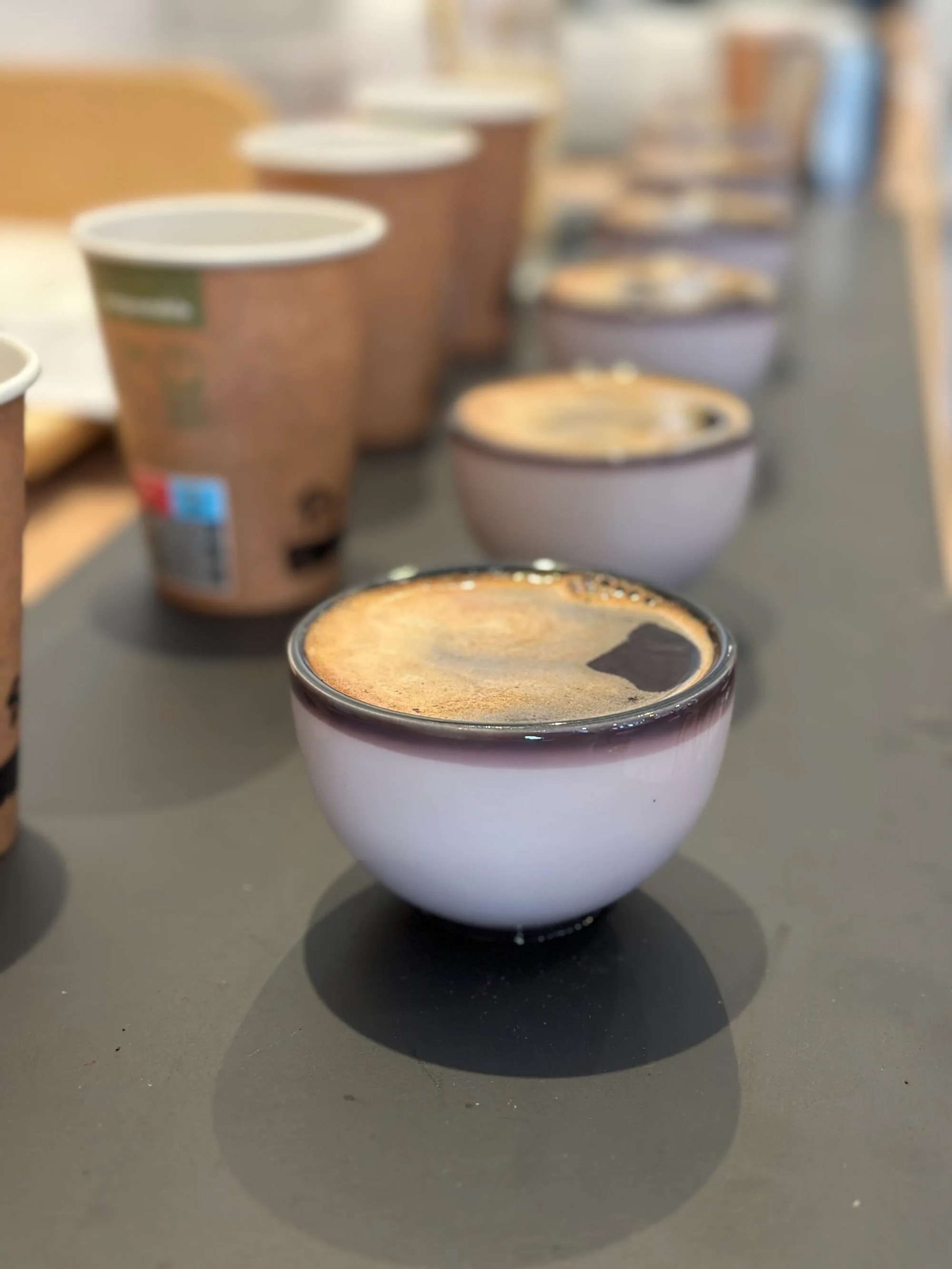 L'Automnal gourmand - Découverte du cupping café_Saint-Bonnet-le-Froid