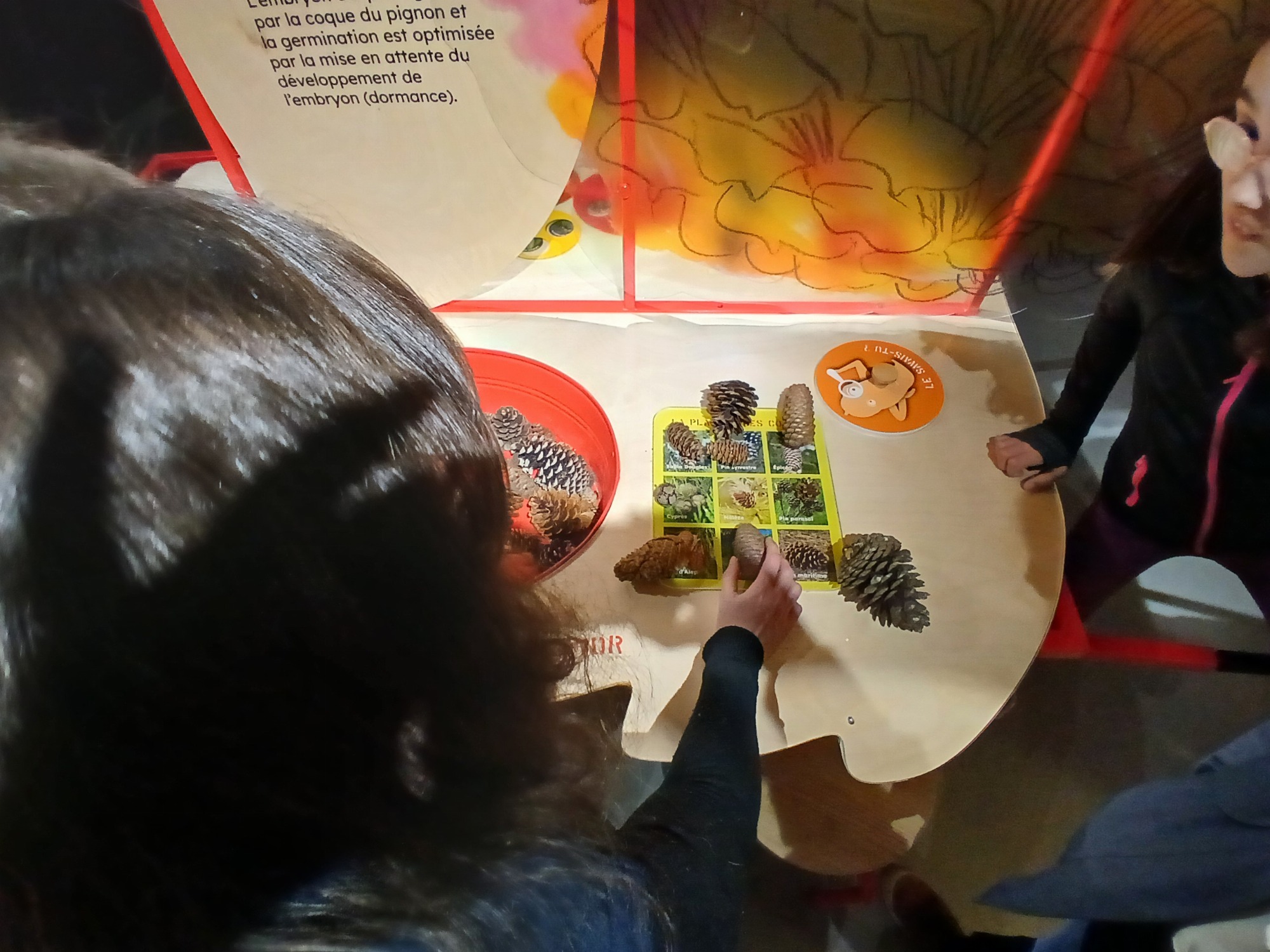 Expo Graines : comment naissent les plantes ?