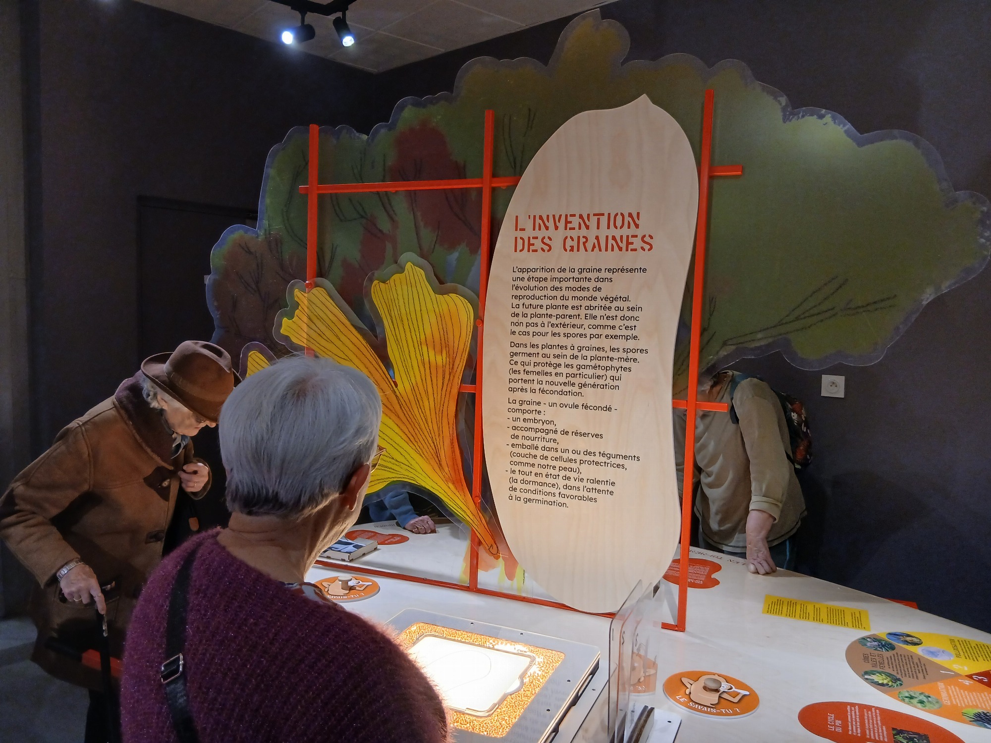 Expo Graines : comment naissent les plantes ?