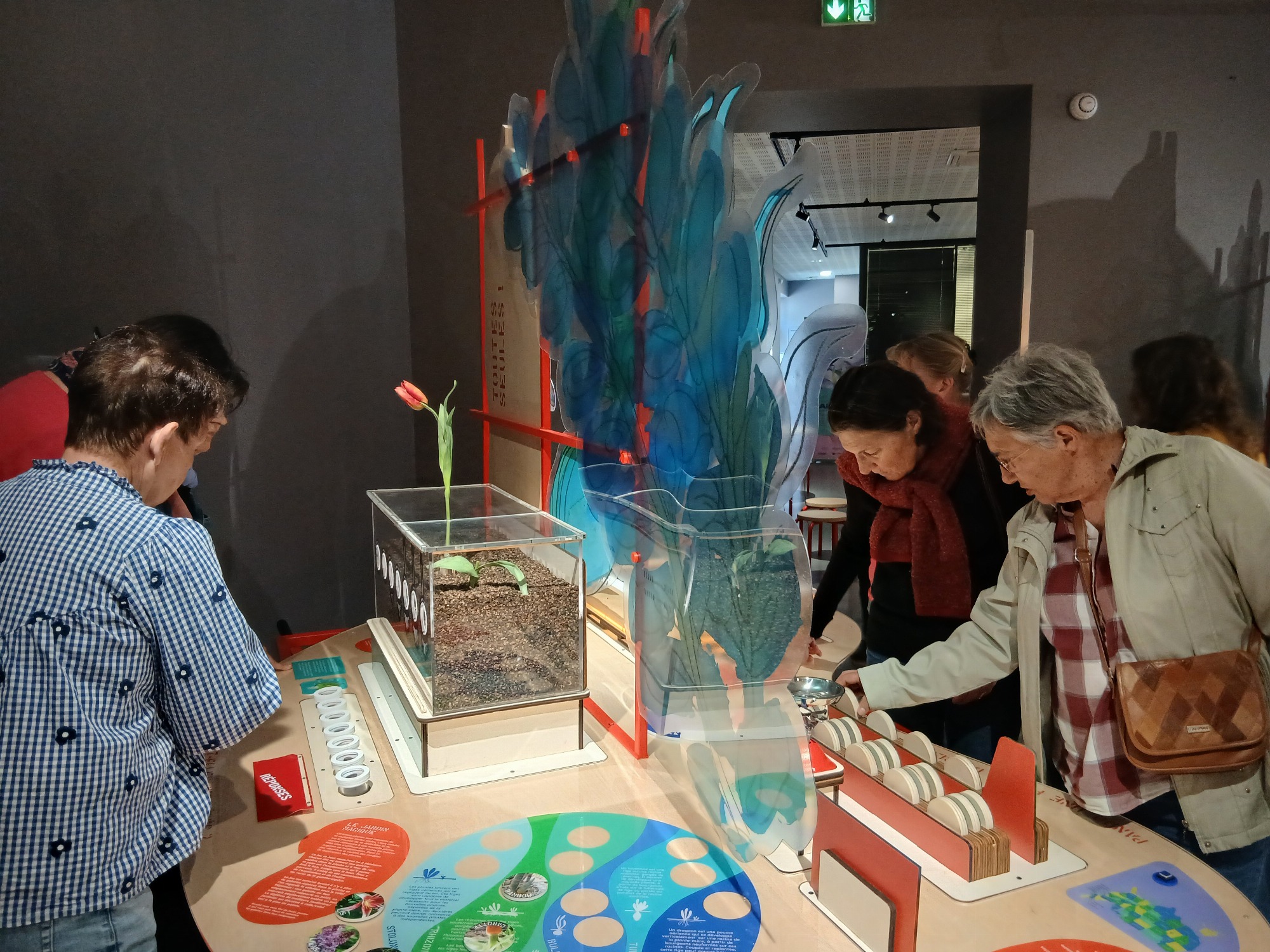Expo Graines : comment naissent les plantes ?