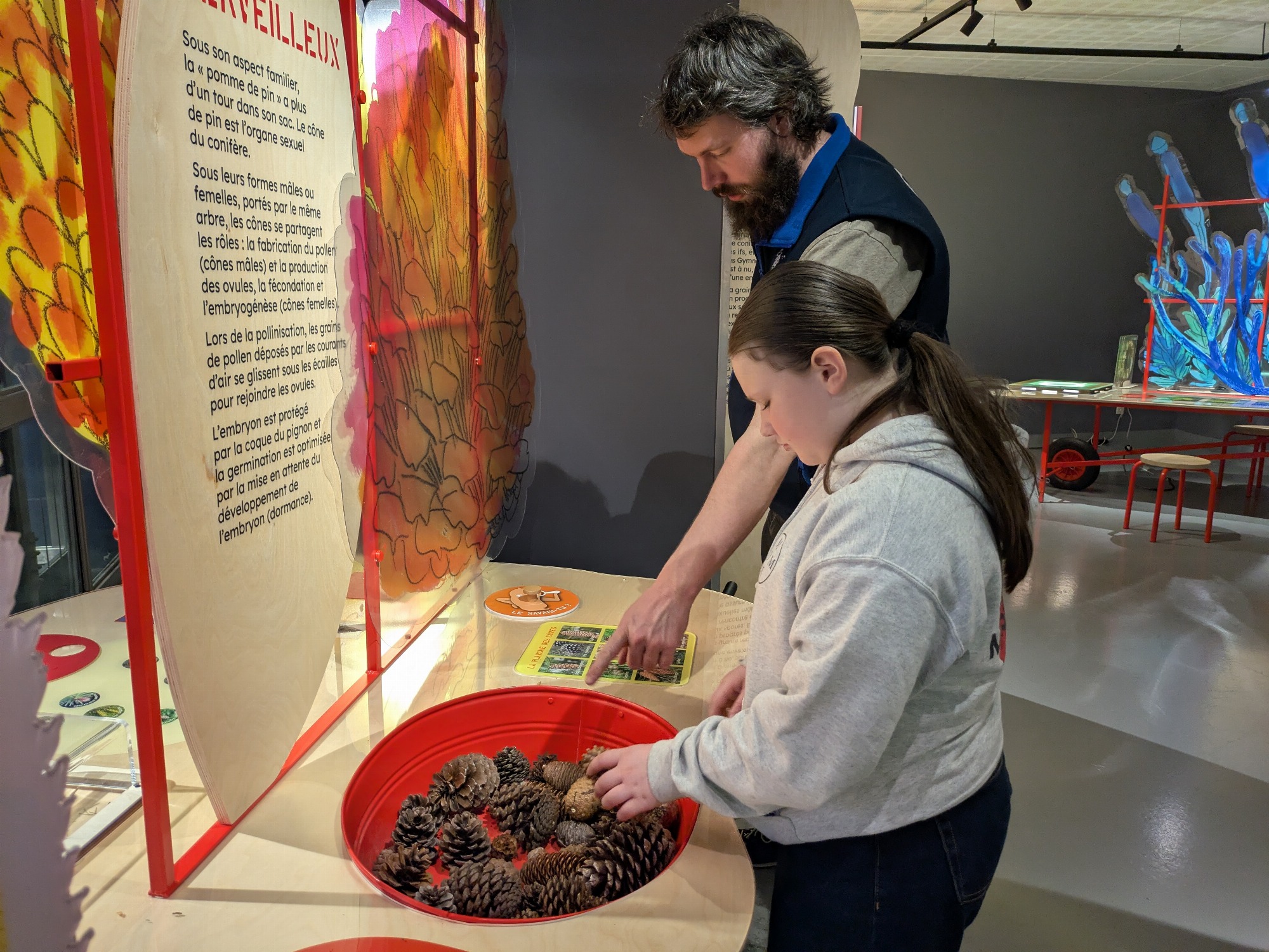 Expo Graines : comment naissent les plantes ?