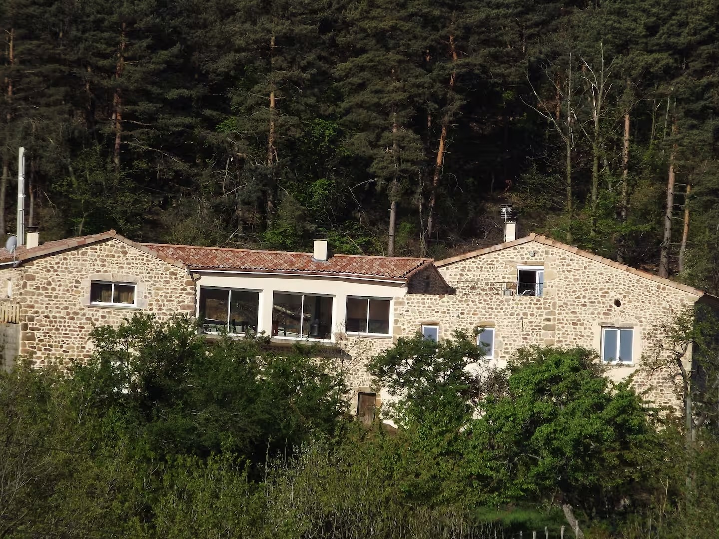 Les Gîtes de Combalat - Le Panorama_Félines