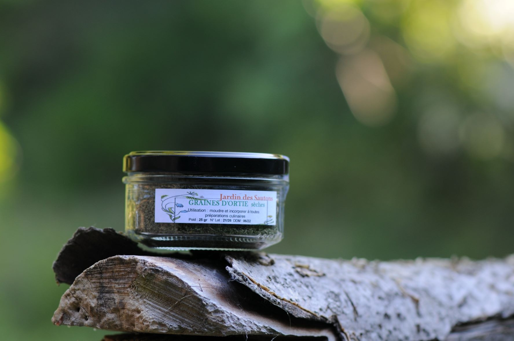 Graines d'ortie
