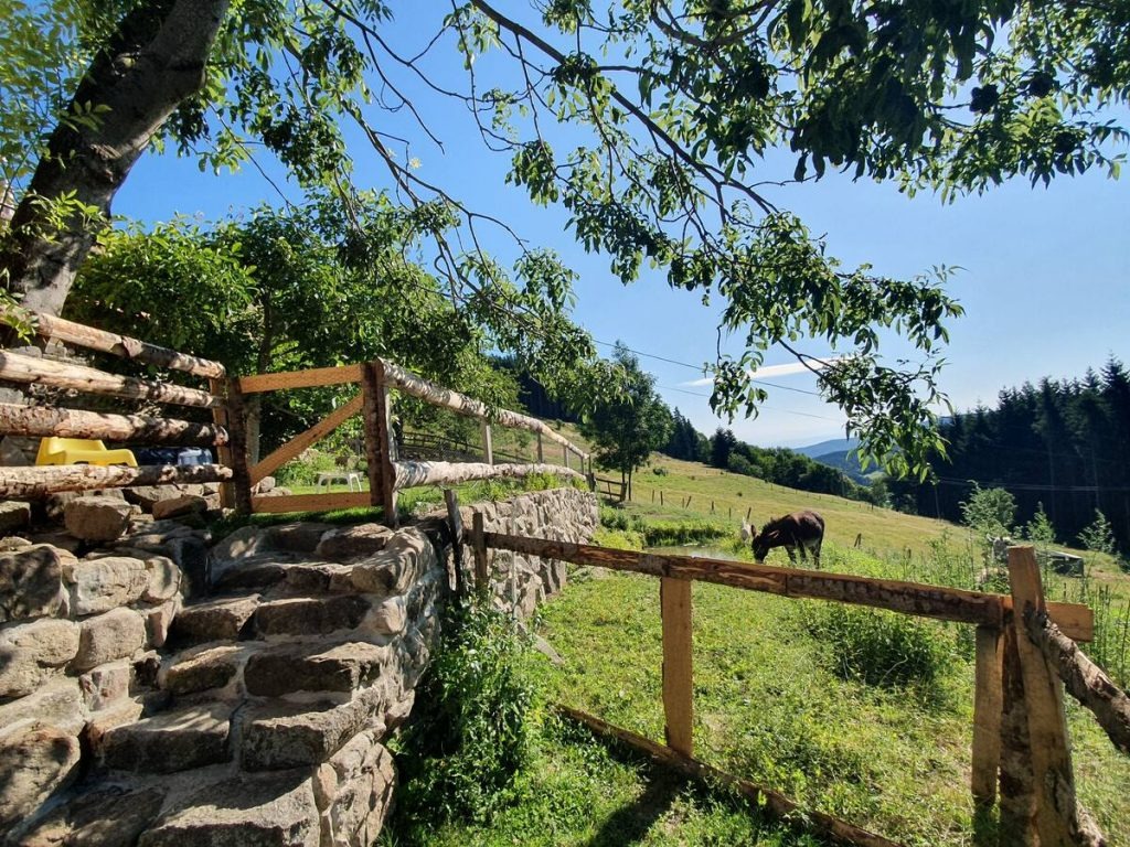 Vue du jardin à l'Est