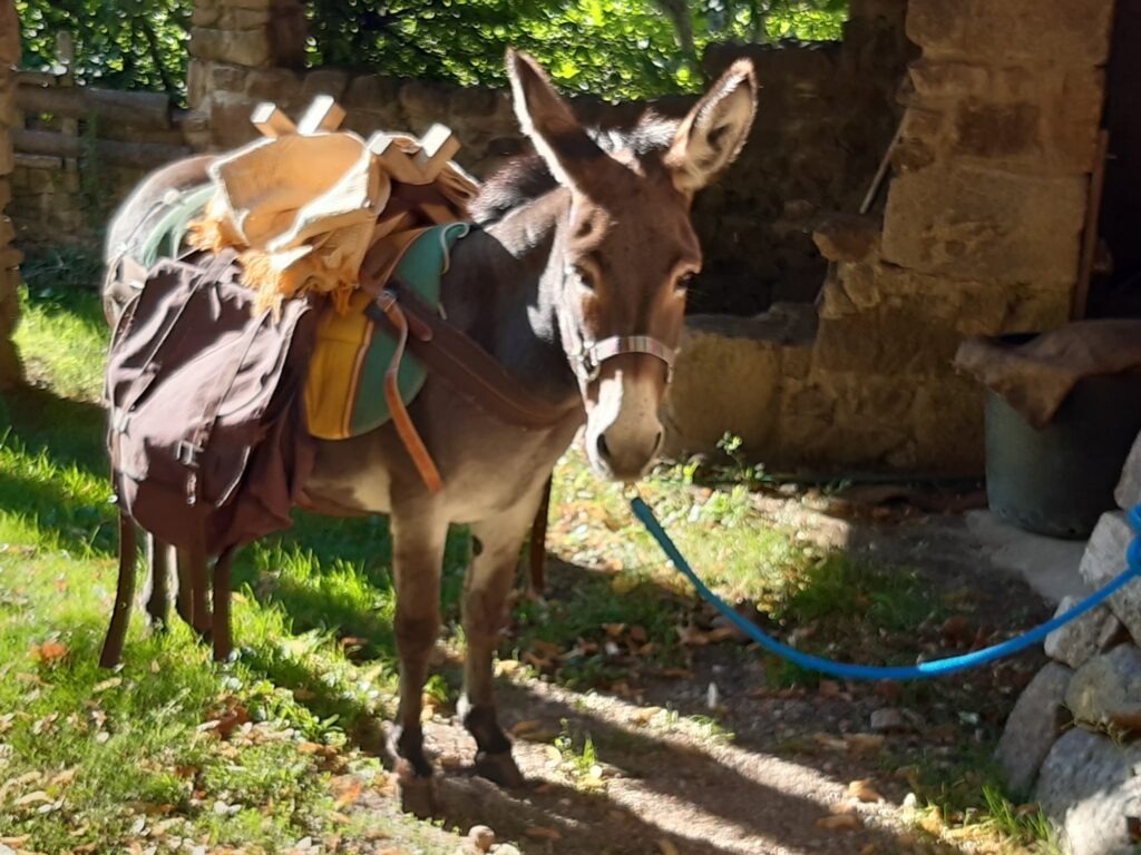 Tequila prête au départ
