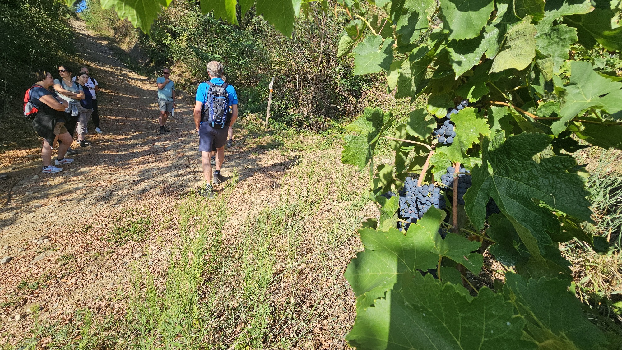 Rando Wine à la Cave Saint-Désirat_Saint-Désirat