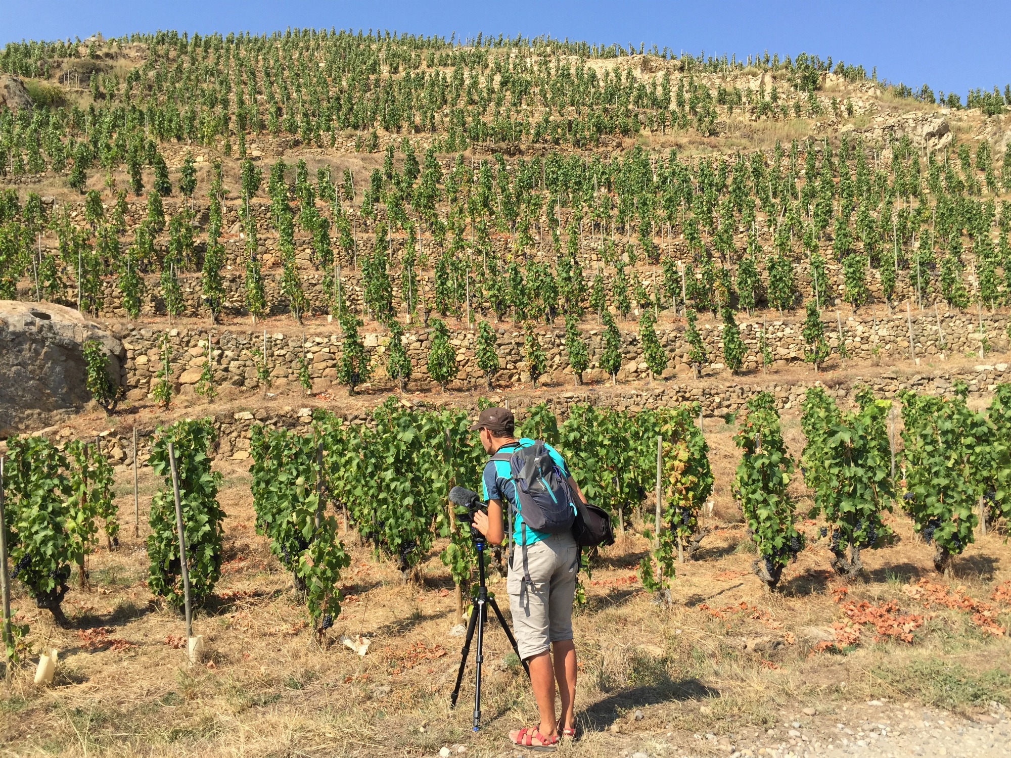 Rando Wine à la Cave Saint-Désirat_Saint-Désirat