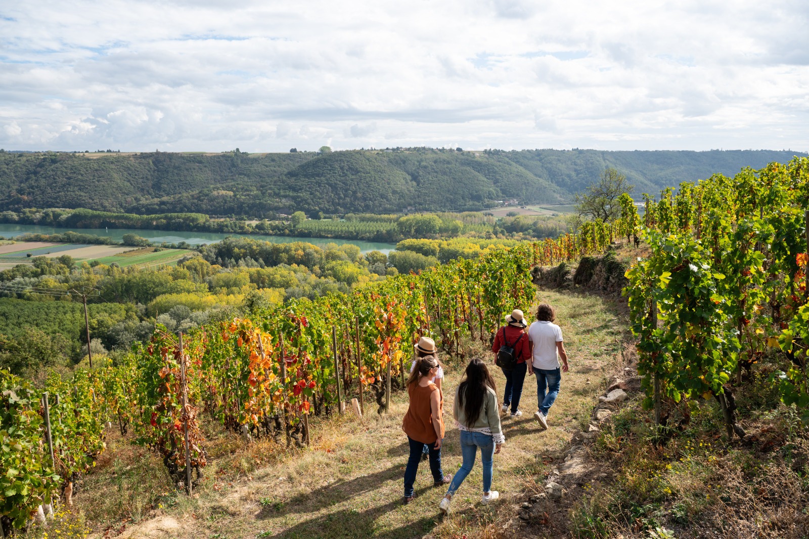 Groupe de personnes en train de marcher au milieu des vignes, face au Rhône.