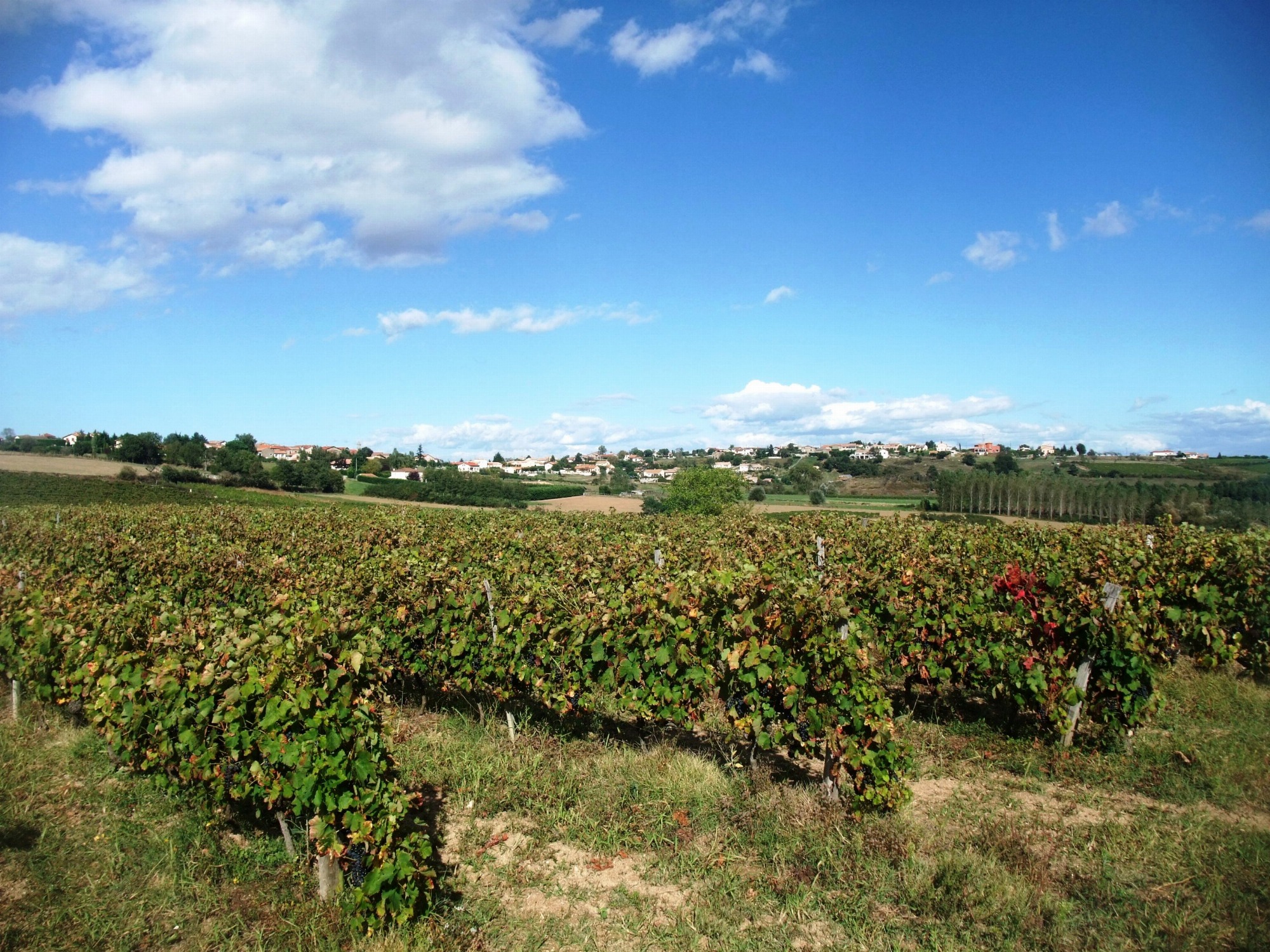 Marche des 3 Vallées_Talencieux