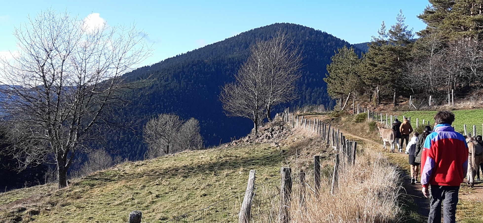 balade avec nos ânes