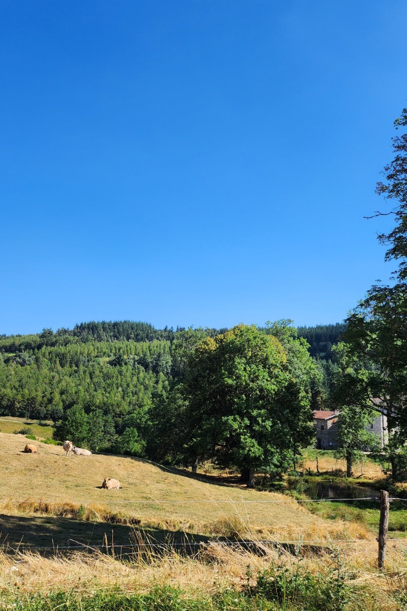 Studio Logodrine - Les environs