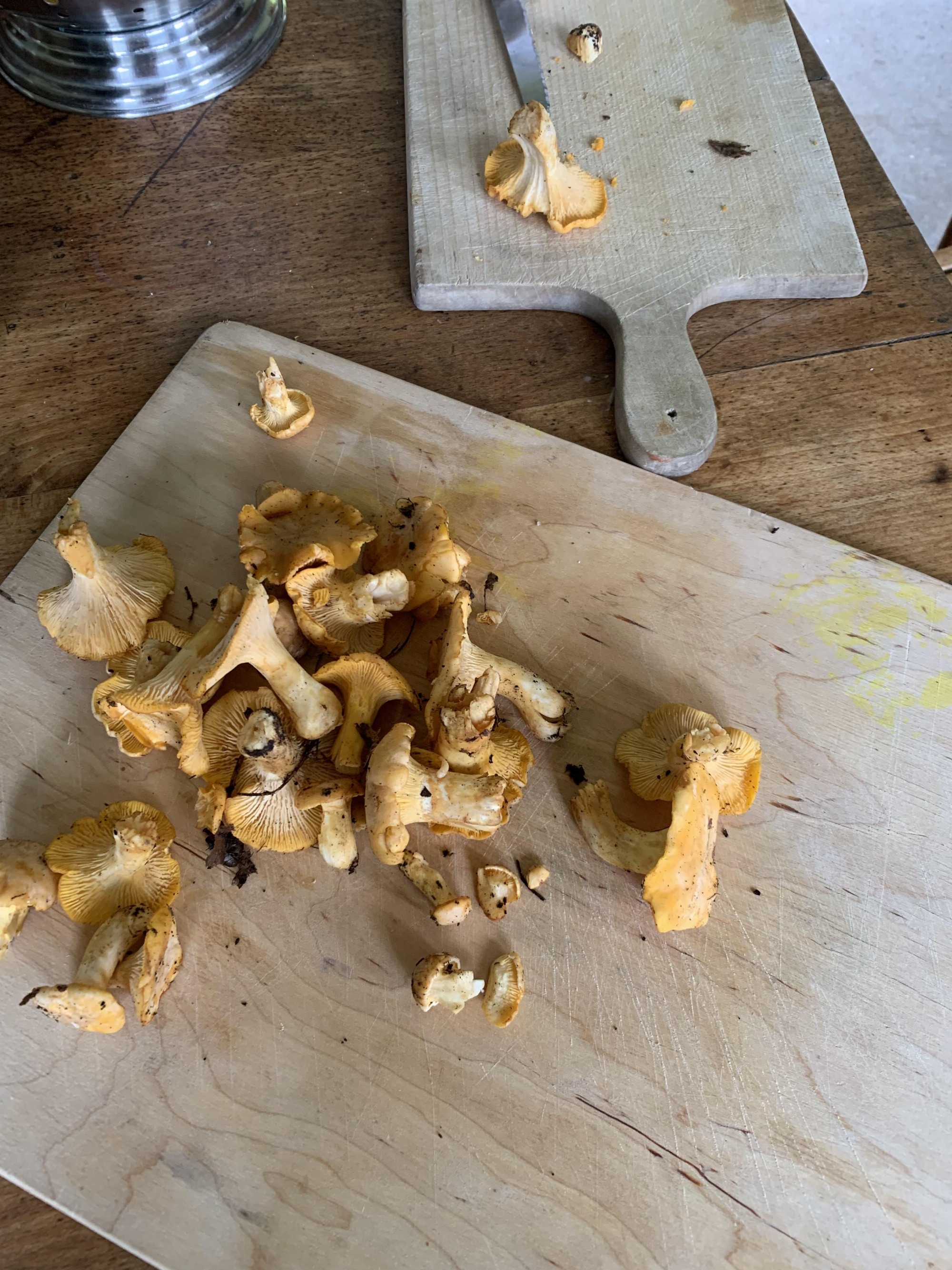 On est dans la région des champignons