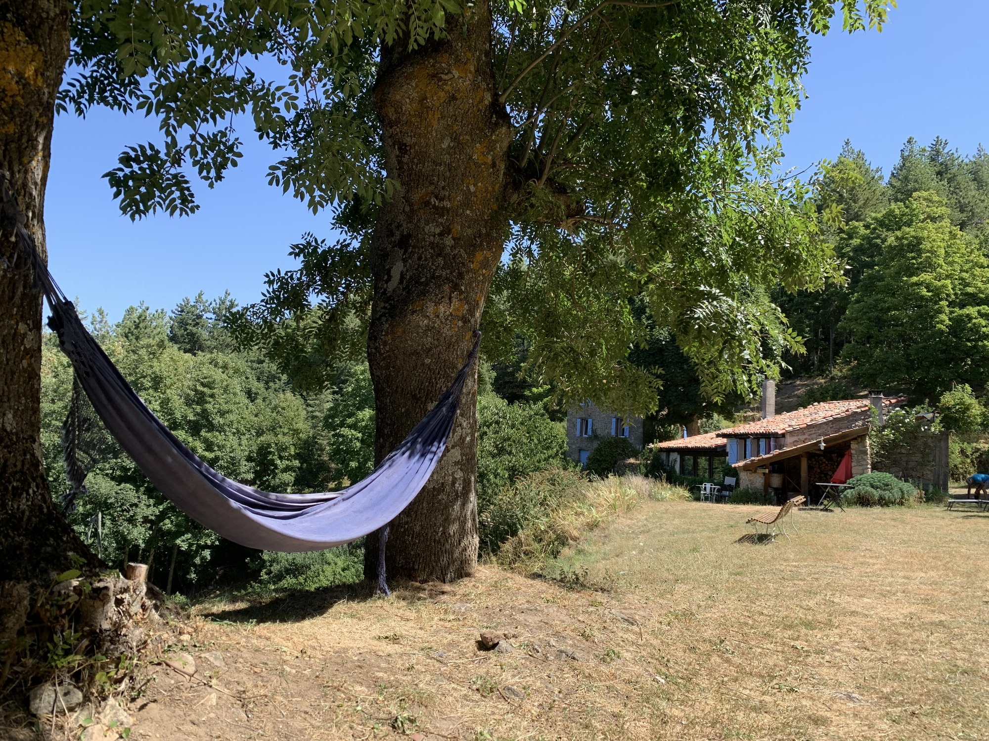 Le farniente : 2 hamacs à disposition