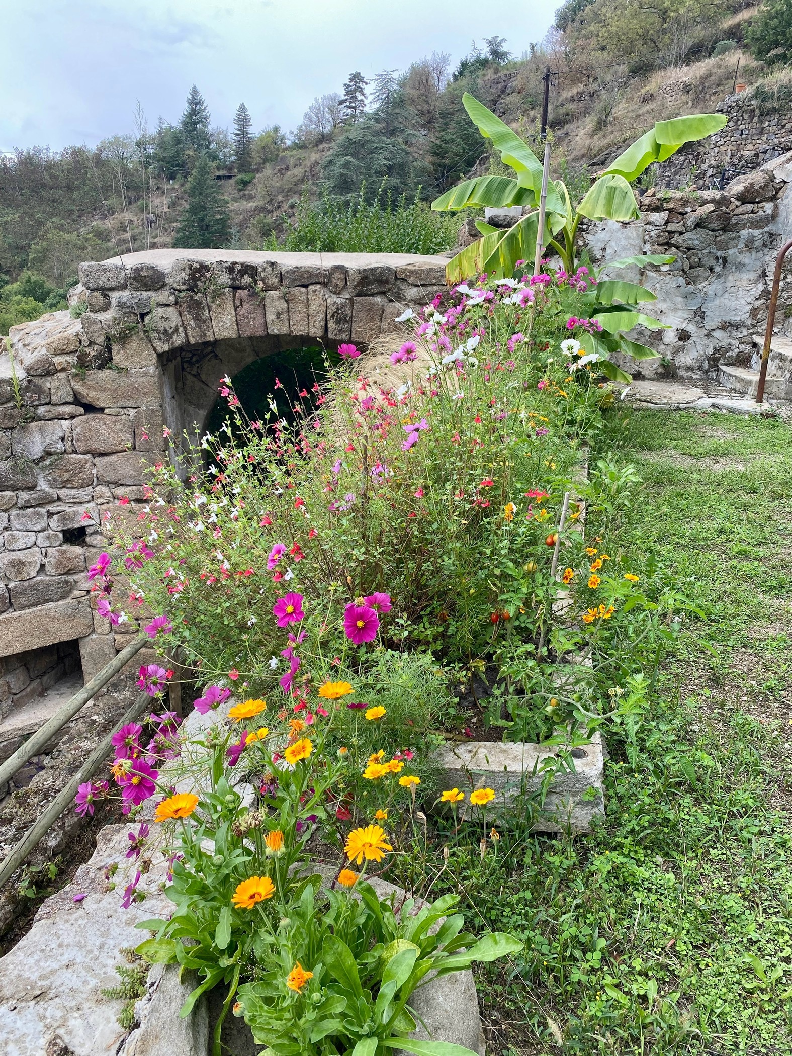 L arche NDDAY sous gite