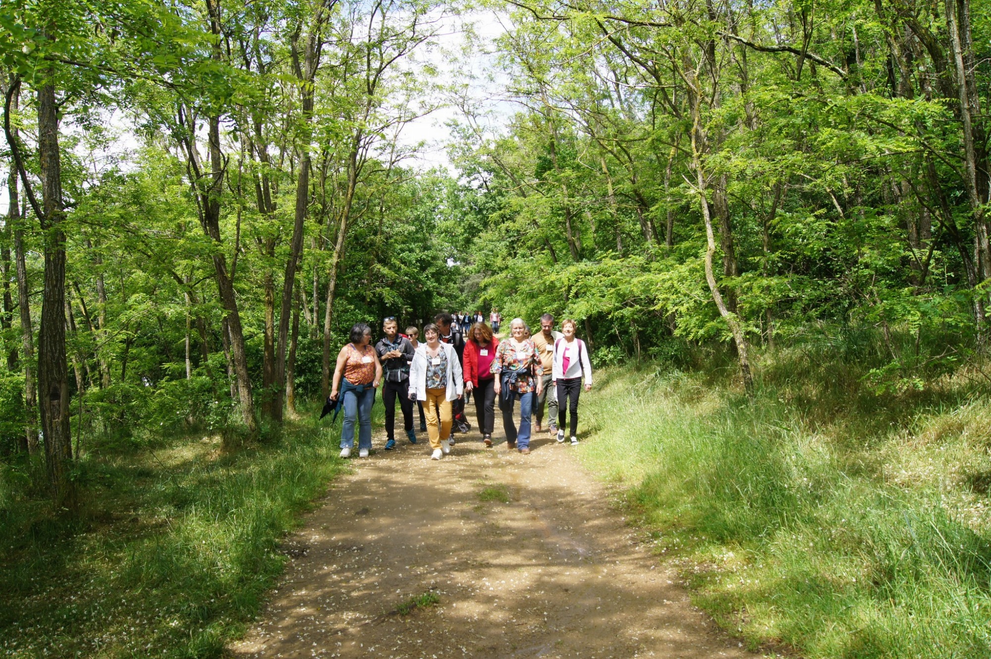 Au pas d'Alex_Ardoix