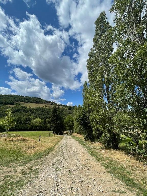 Chemin d'accès au Domaine de Boidel