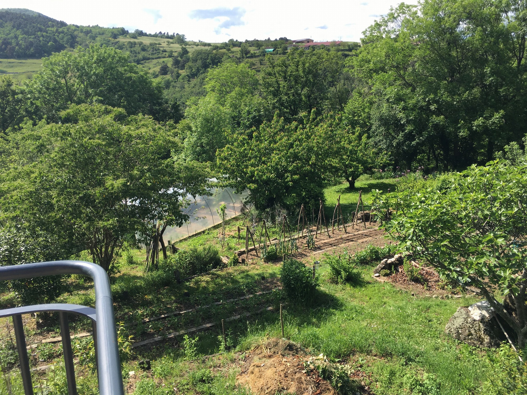 Vue sur le jardin potager et fruitier