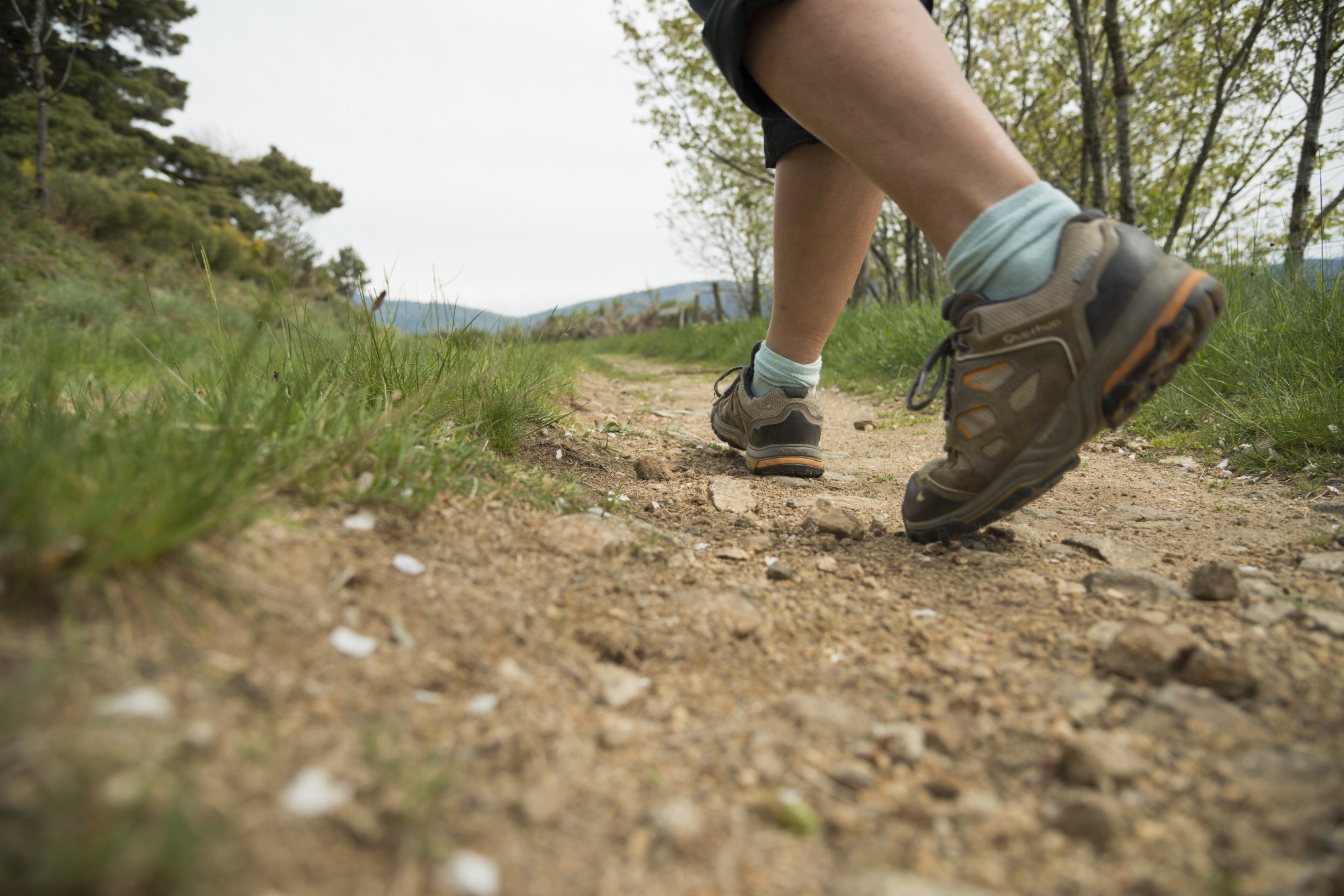La Foulée des sous-bois