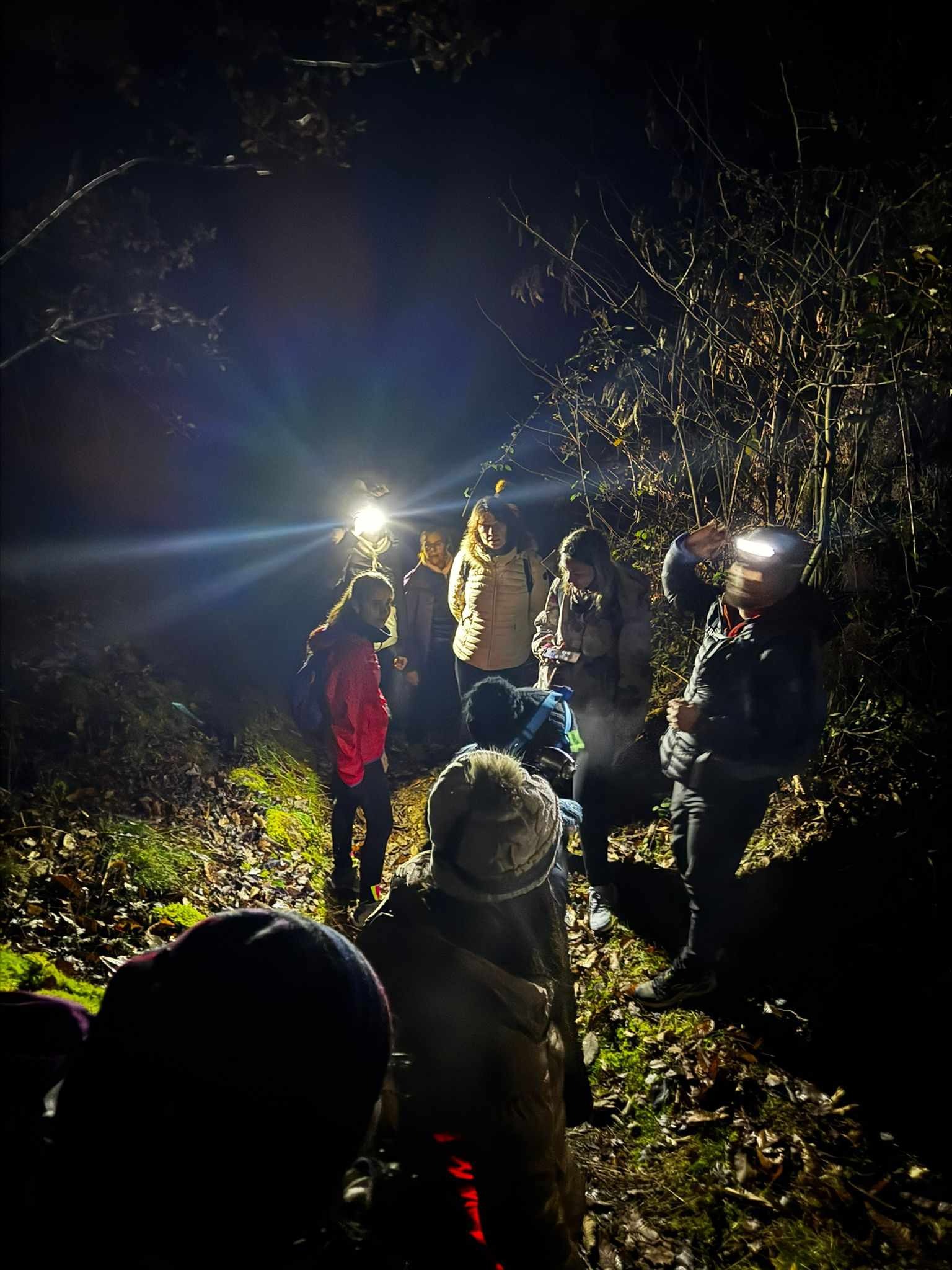 Veillées nordiques en Ardèche verte_Vanosc