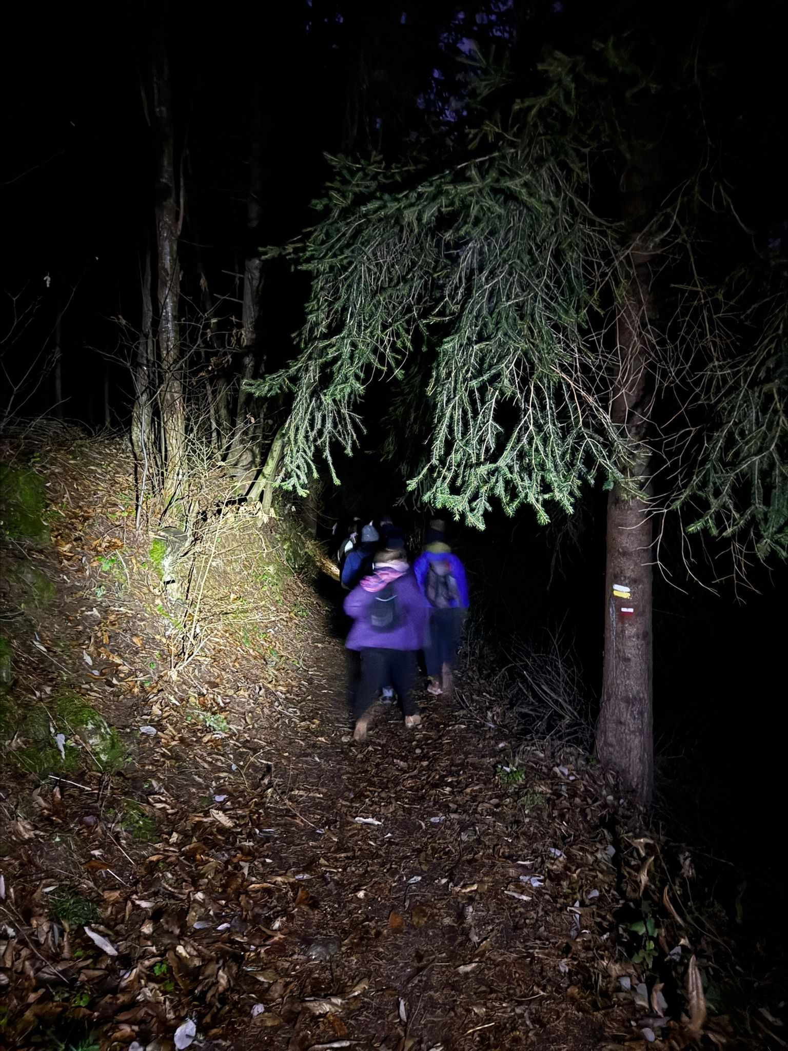 Veillées nordiques en Ardèche verte_Vanosc