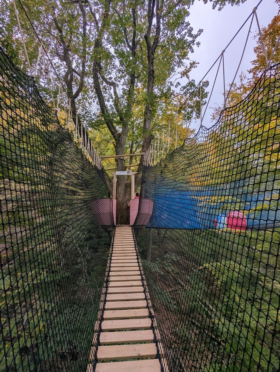 Le Sentier des Passerelles de la Canopée