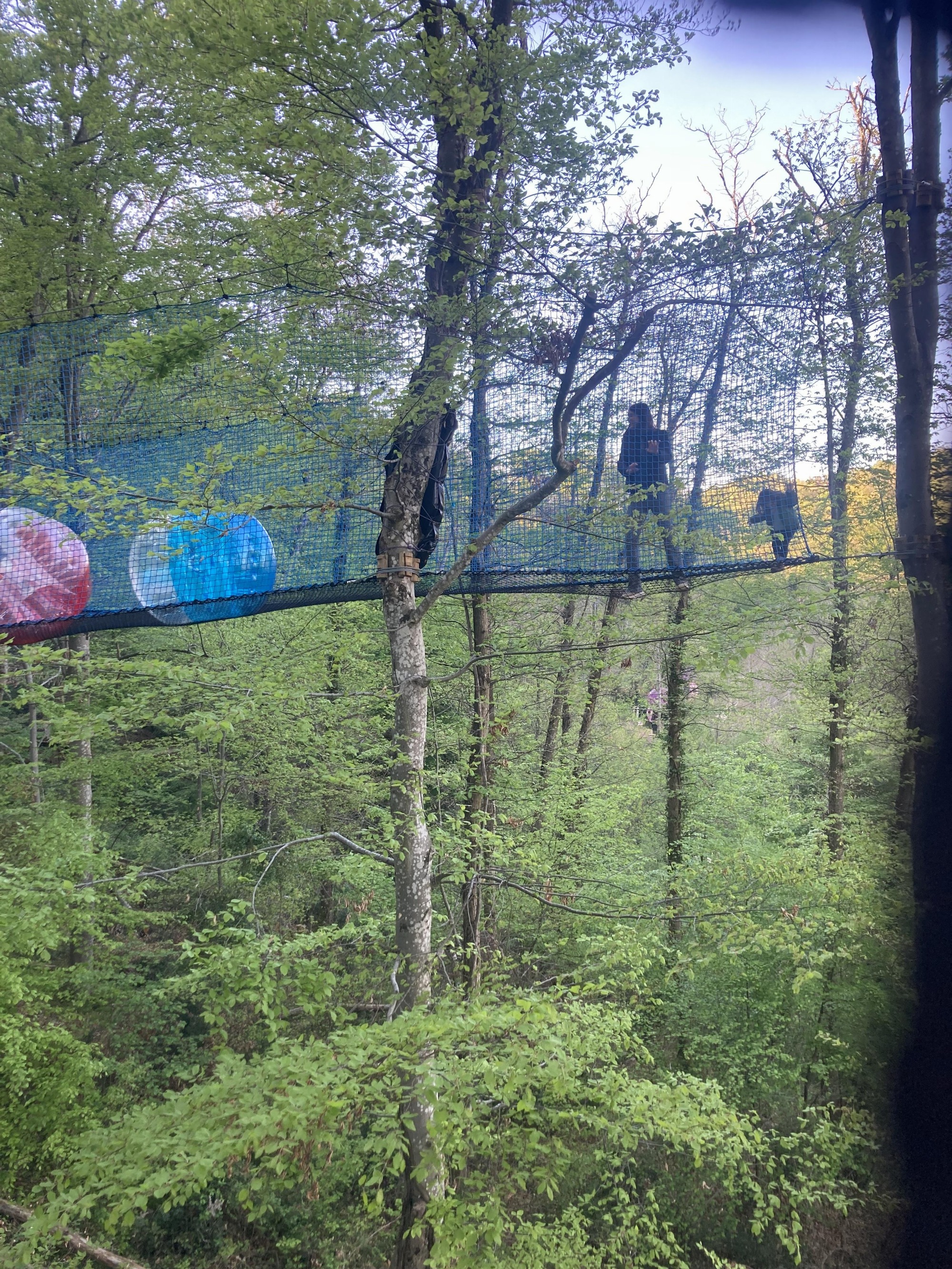 Filet Champo'Folie bleu et ses Bulles tamponneuses