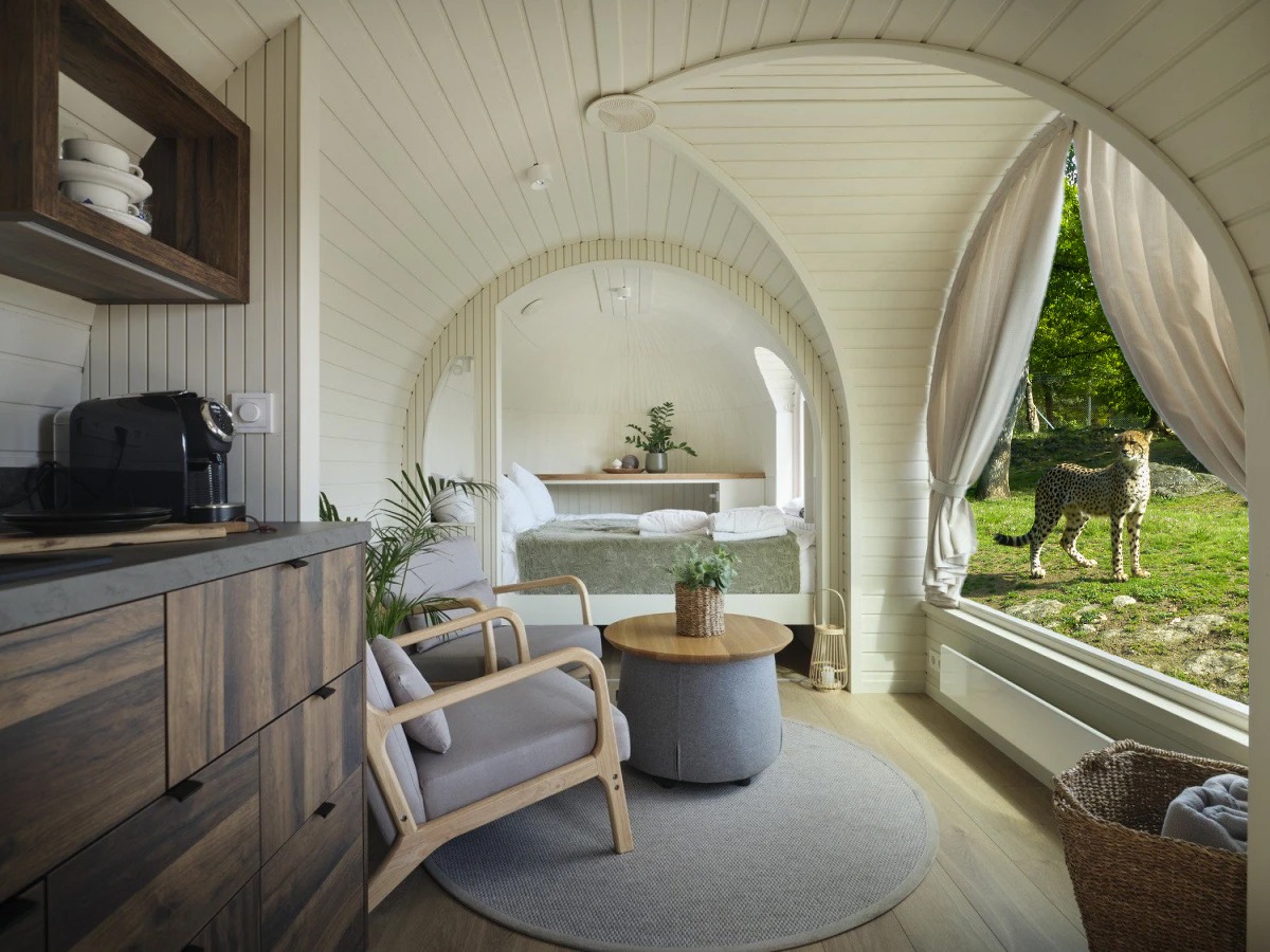 Dormir face aux guépards